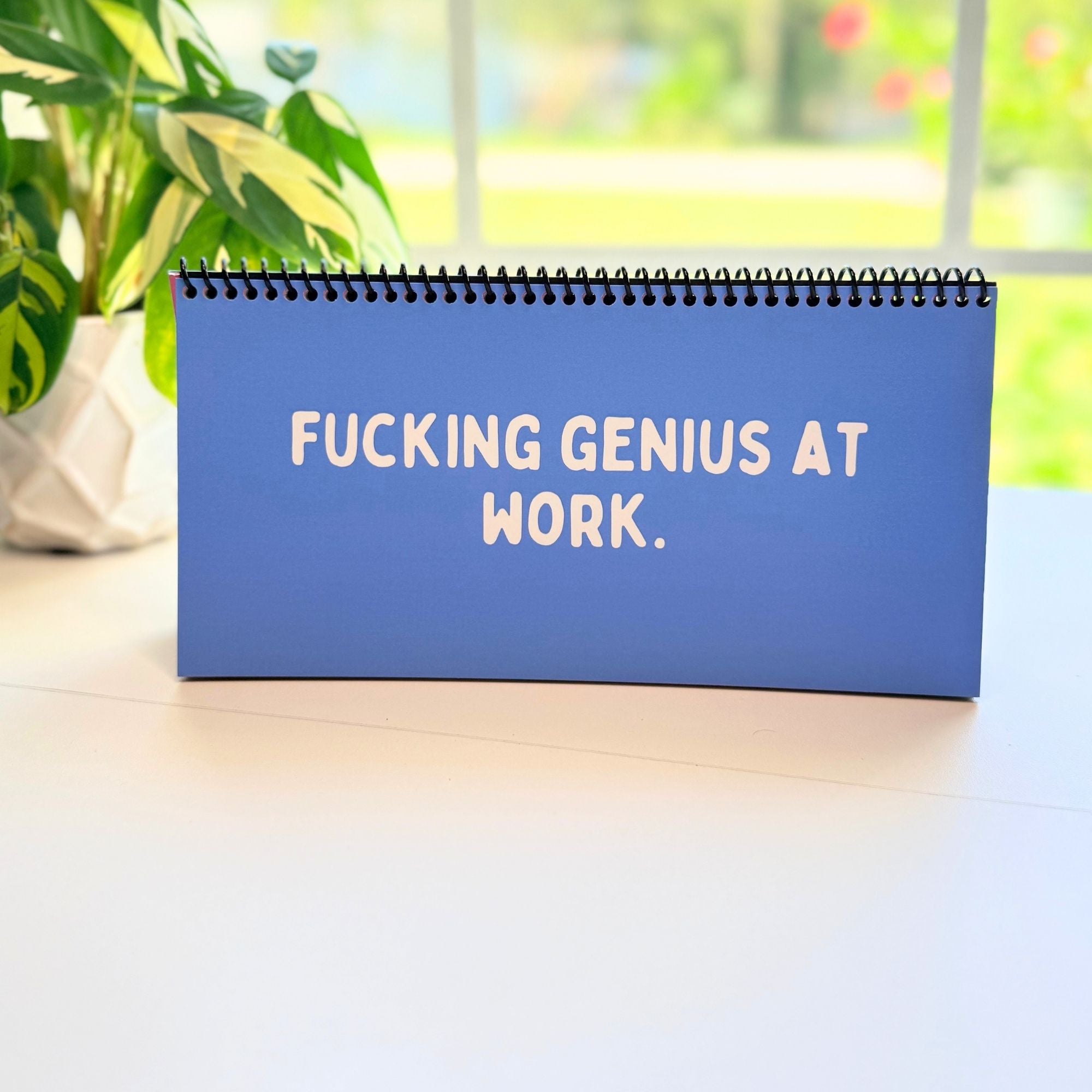 The Daily Mood Desk Sign for People That Like To Say F*ck Colorful