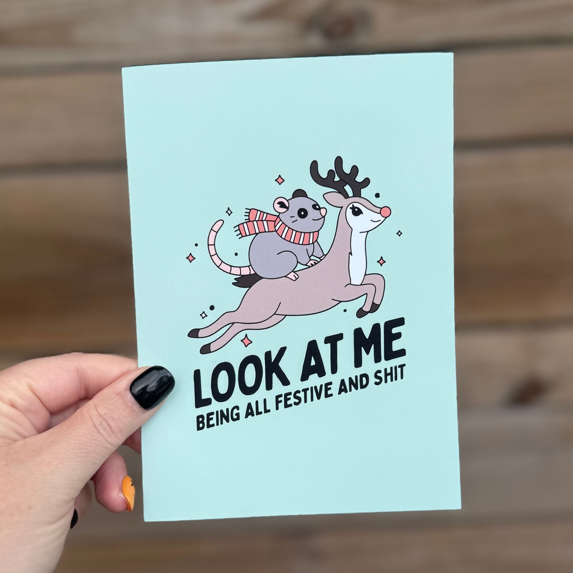 Christmas Card Variety Pack (20 unique cards & envelopes)