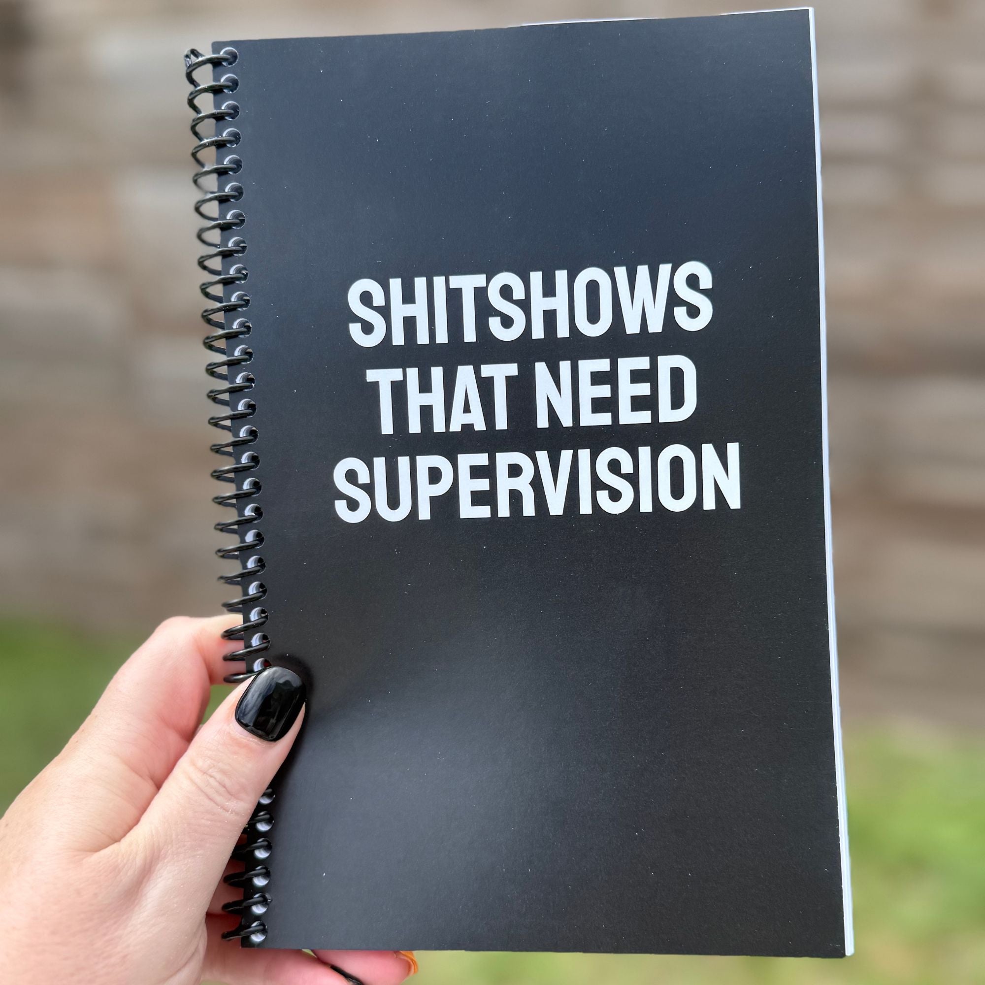 Shitshows That Need Supervision Notebook