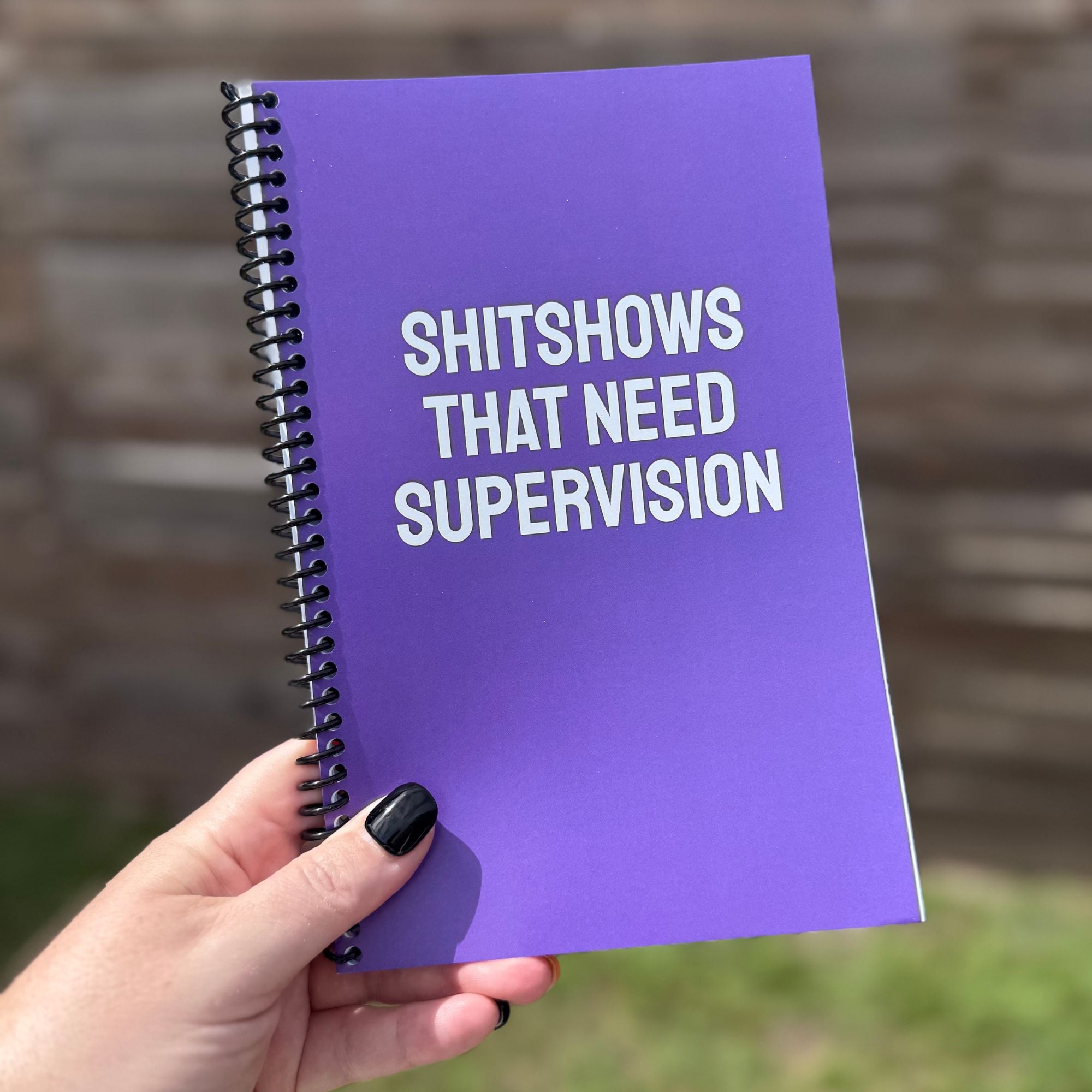 Shitshows That Need Supervision Notebook