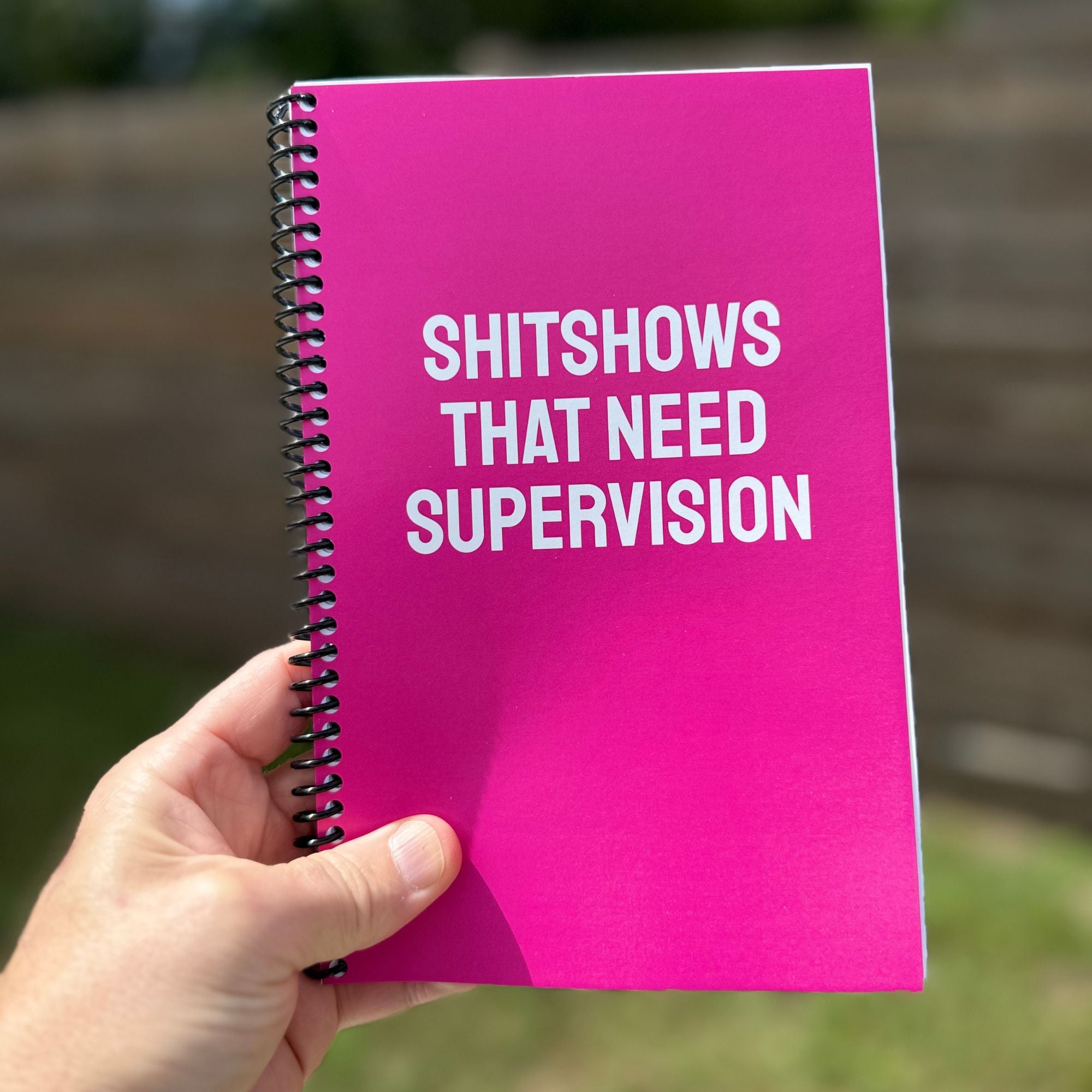 Shitshows That Need Supervision Notebook