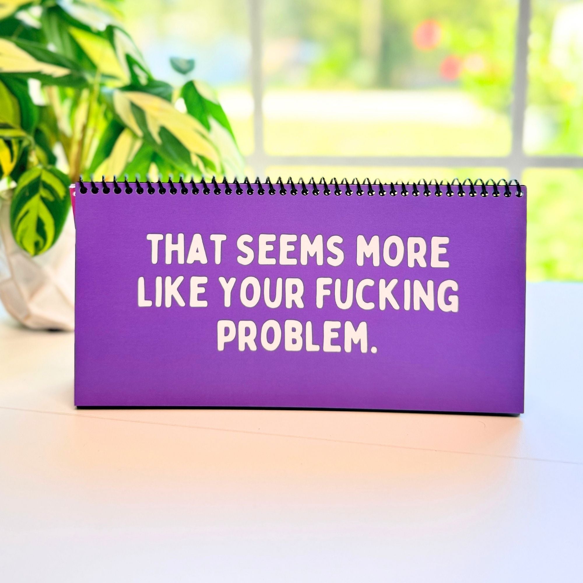 The Daily Mood Desk Sign for People That Like To Say F*ck Colorful
