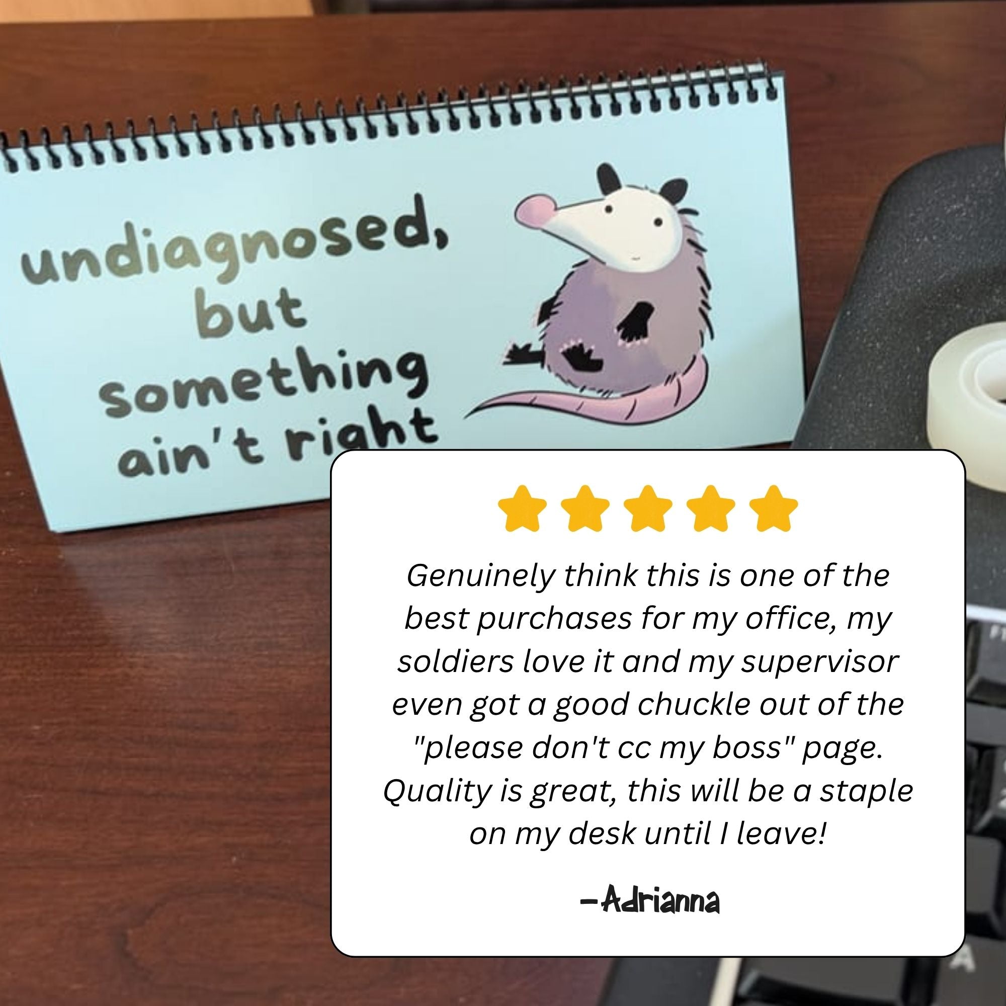 Opossums At Work Desk Sign