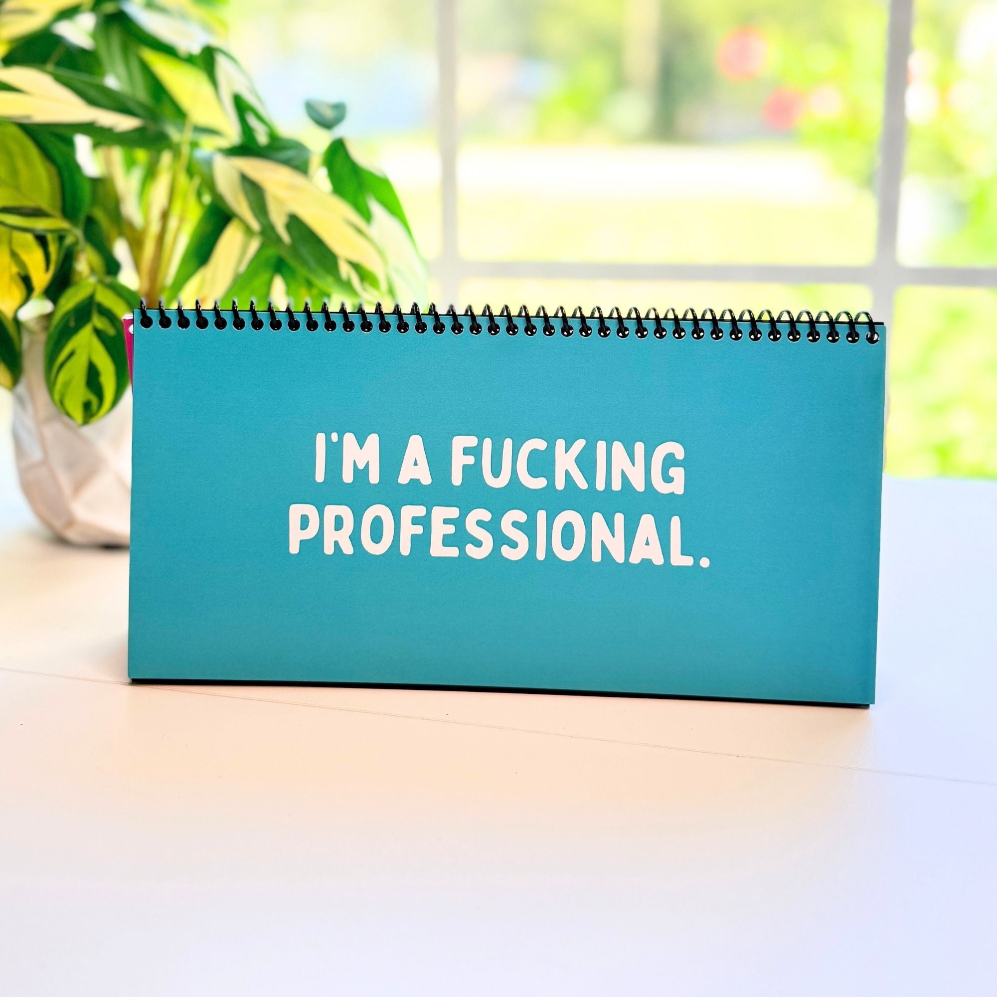 The Daily Mood Desk Sign for People That Like To Say F*ck Colorful