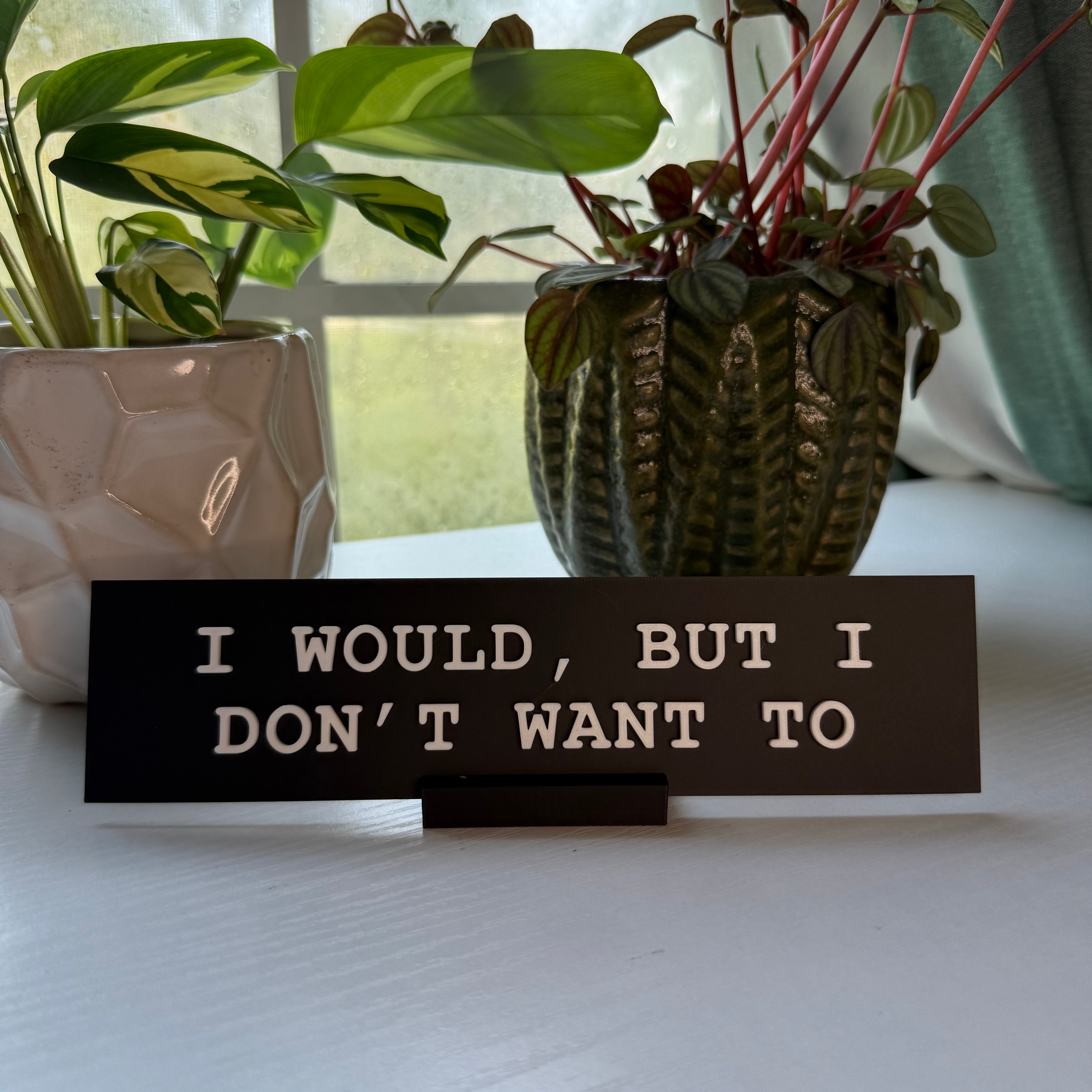 I Would, But I Don't Want To Desk Nameplate
