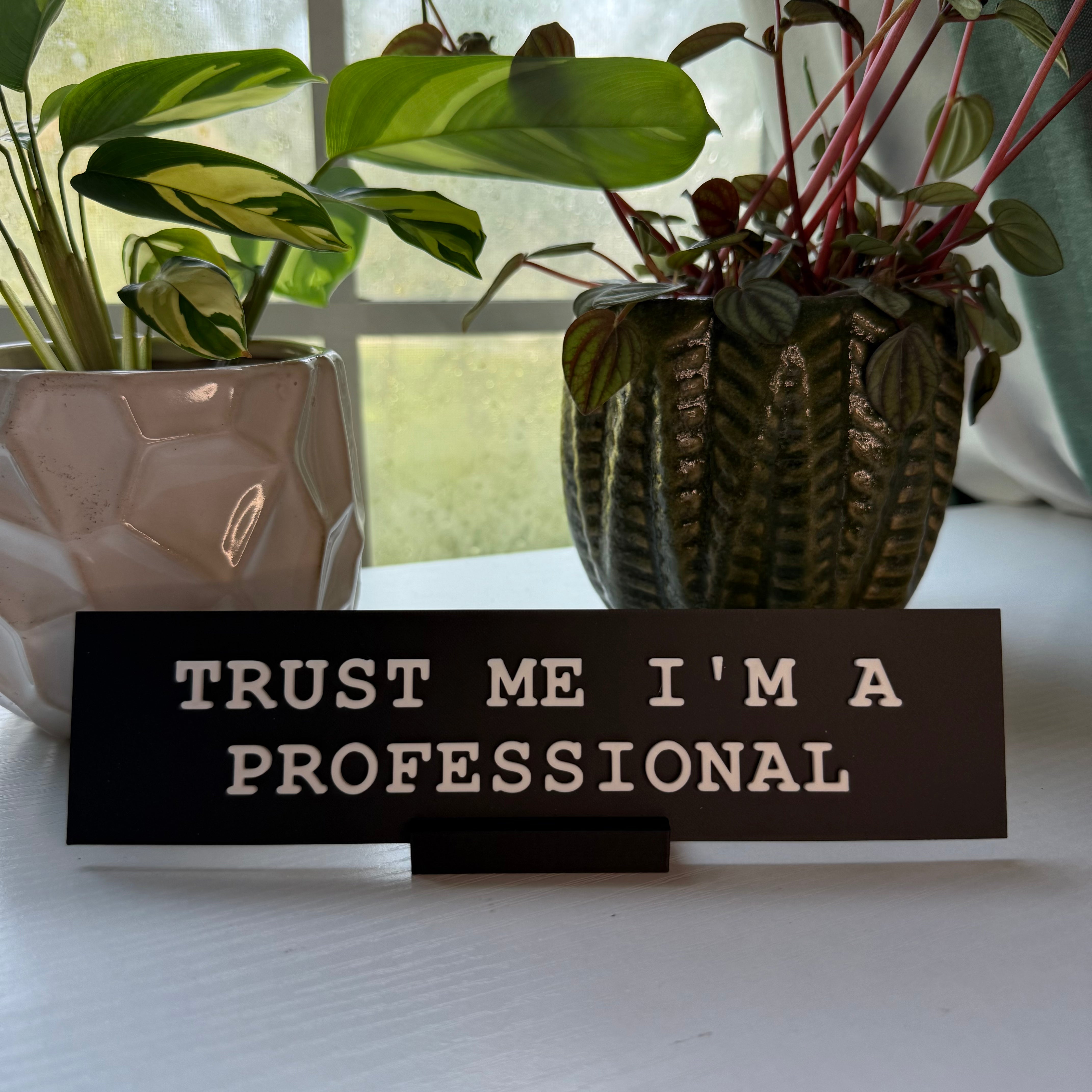 Trust Me I'm A Professional Nameplate