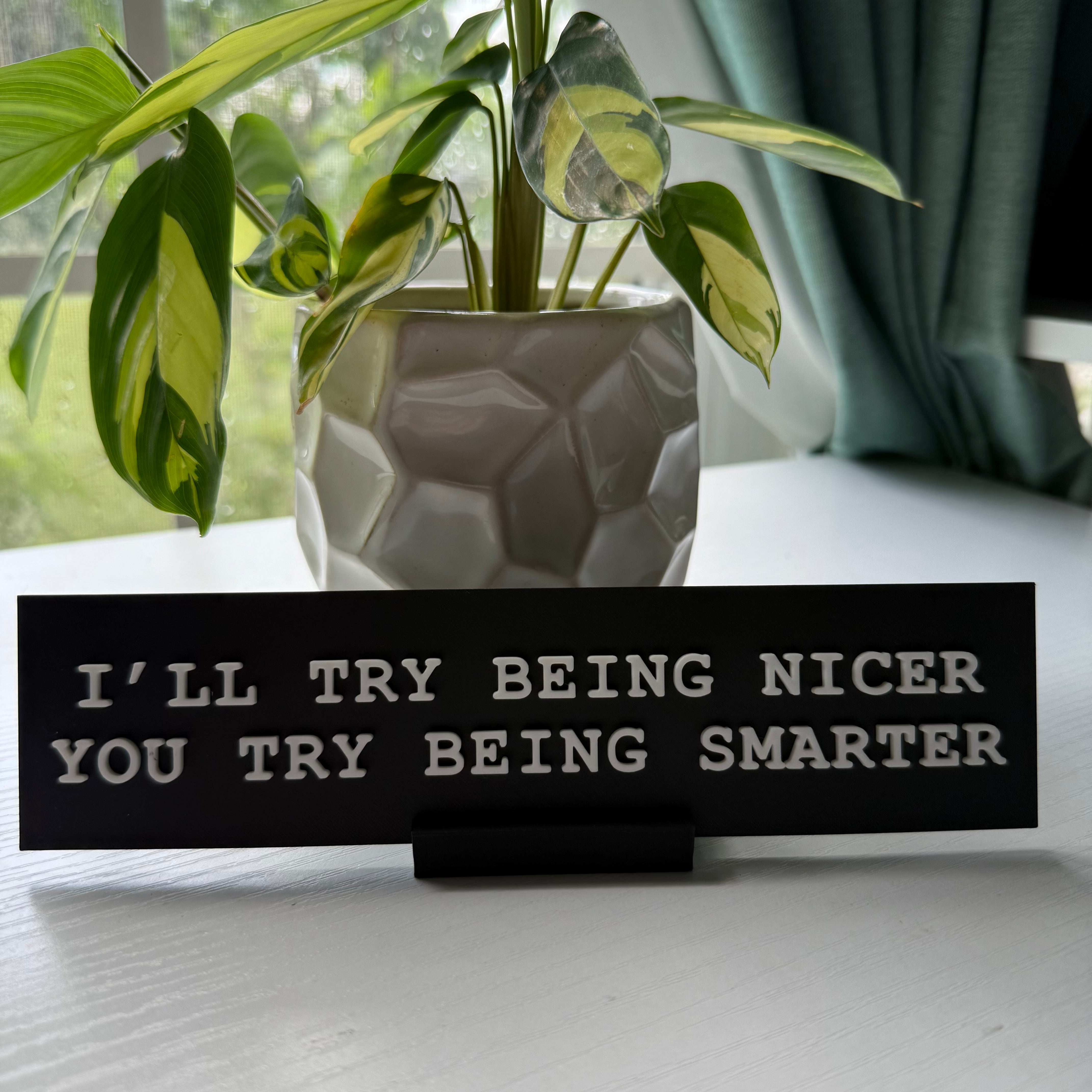 I'll Try Being Nicer, You Try Being Smarter Nameplate