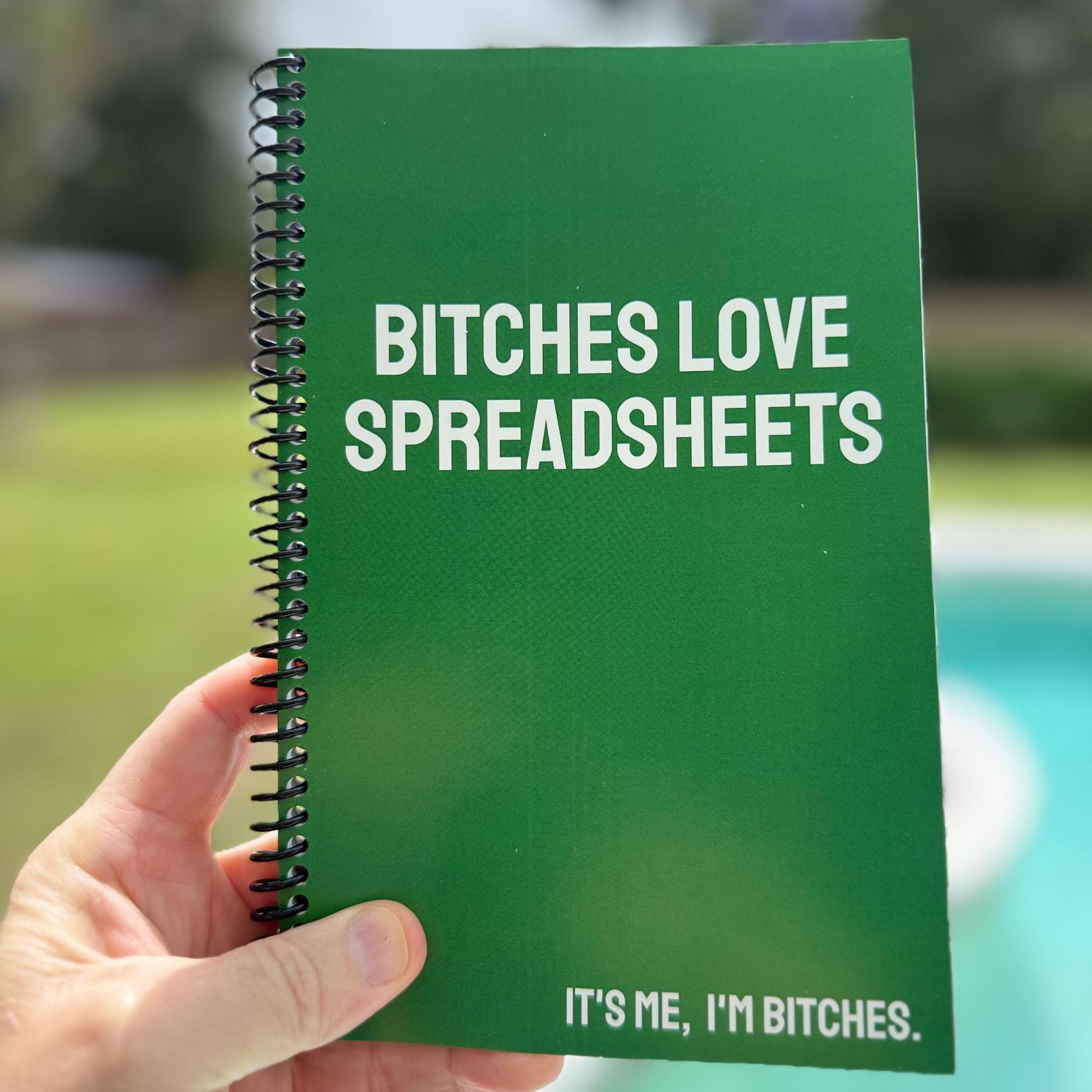 Bitches Love Spreadsheets Notebook