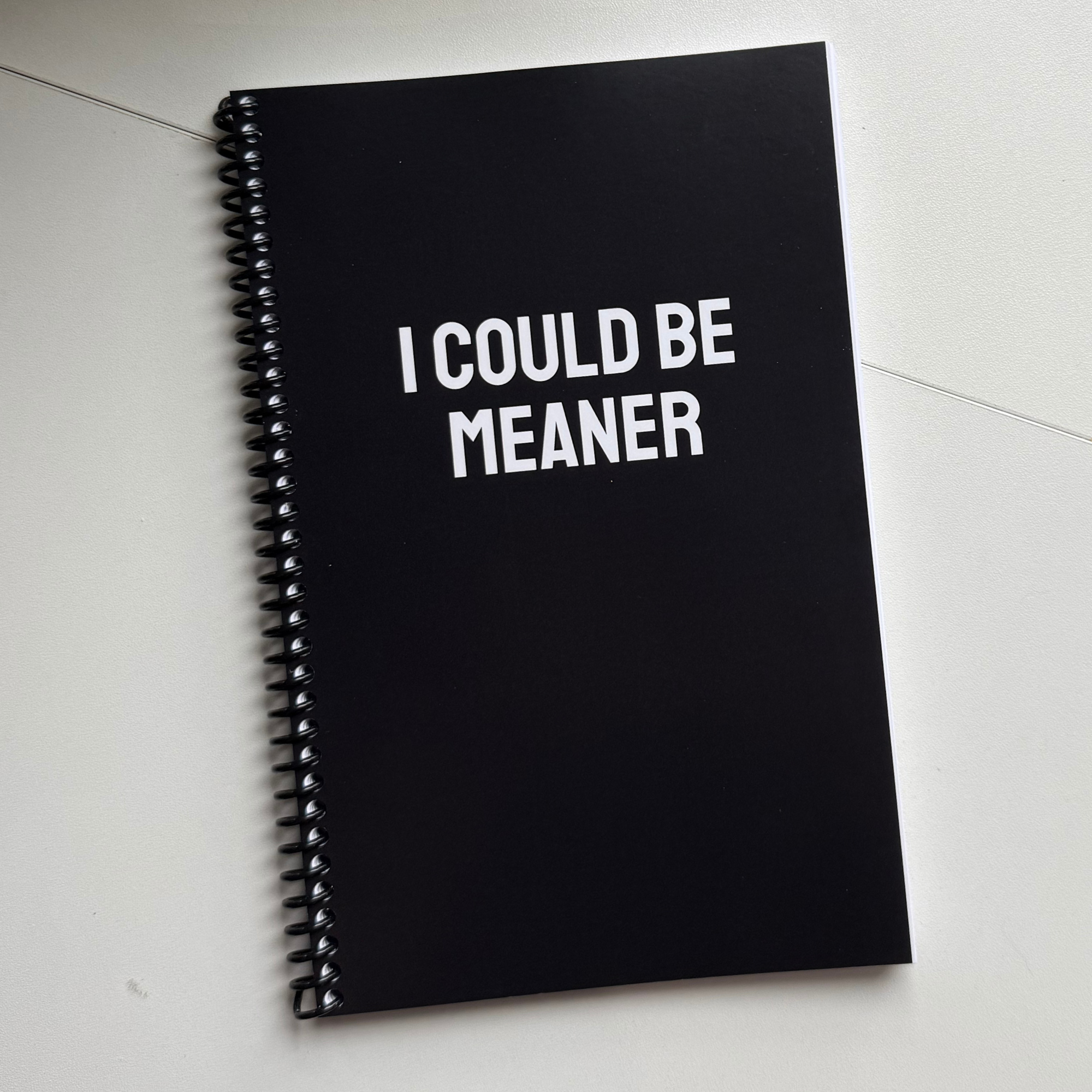 I Could Be Meaner Notebook