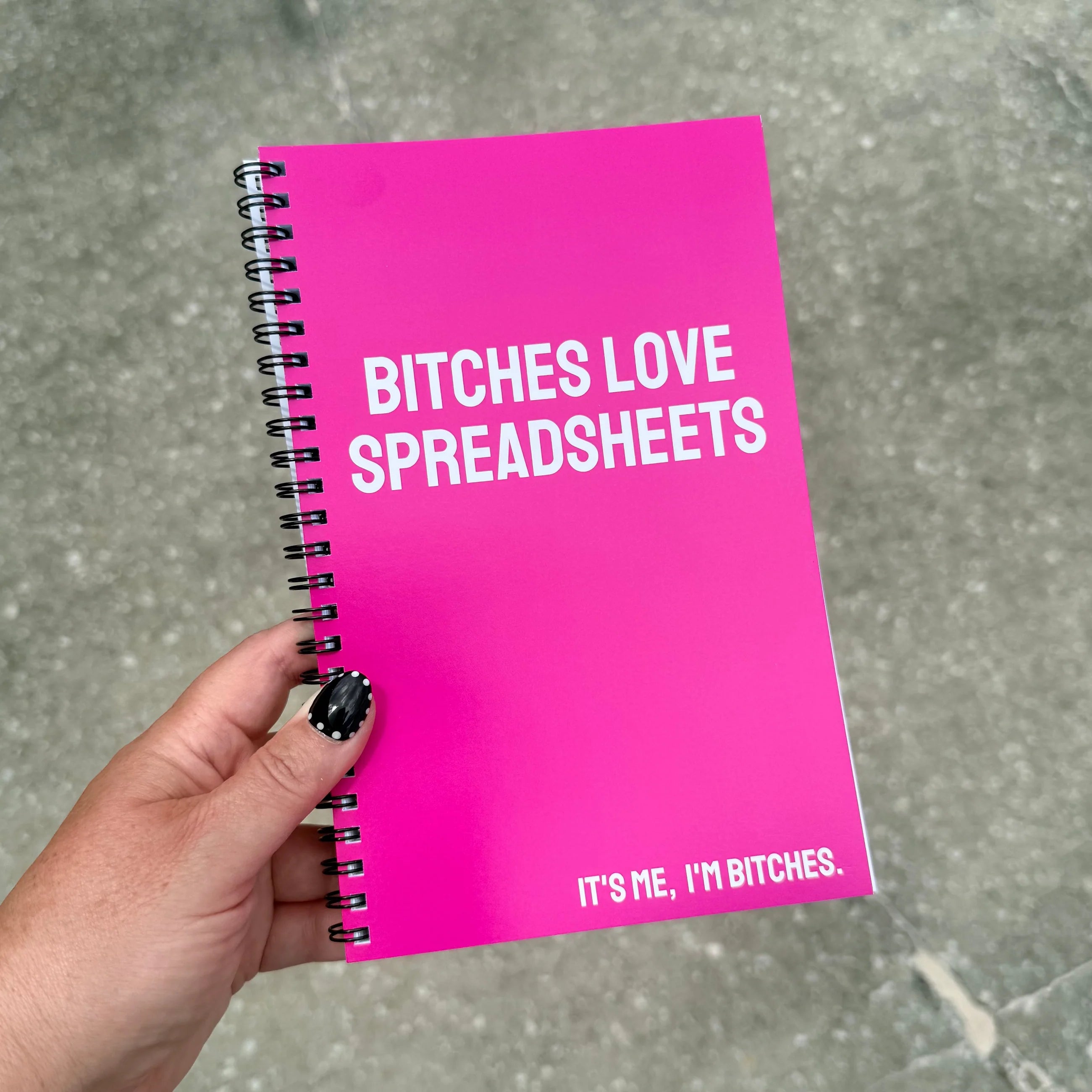 IMPERFECT Bitches Love Spreadsheets Notebook