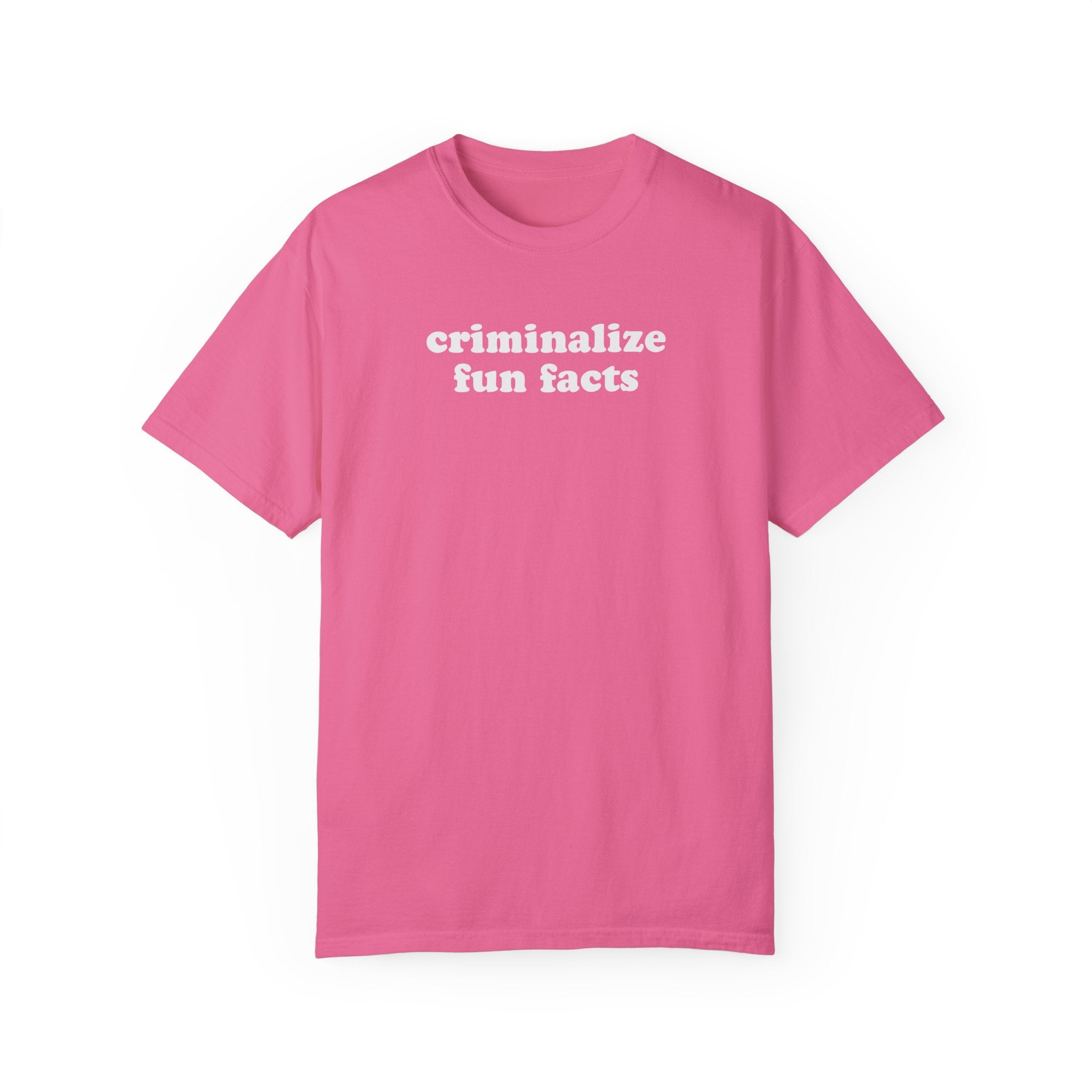 Criminalize Fun Facts Tee