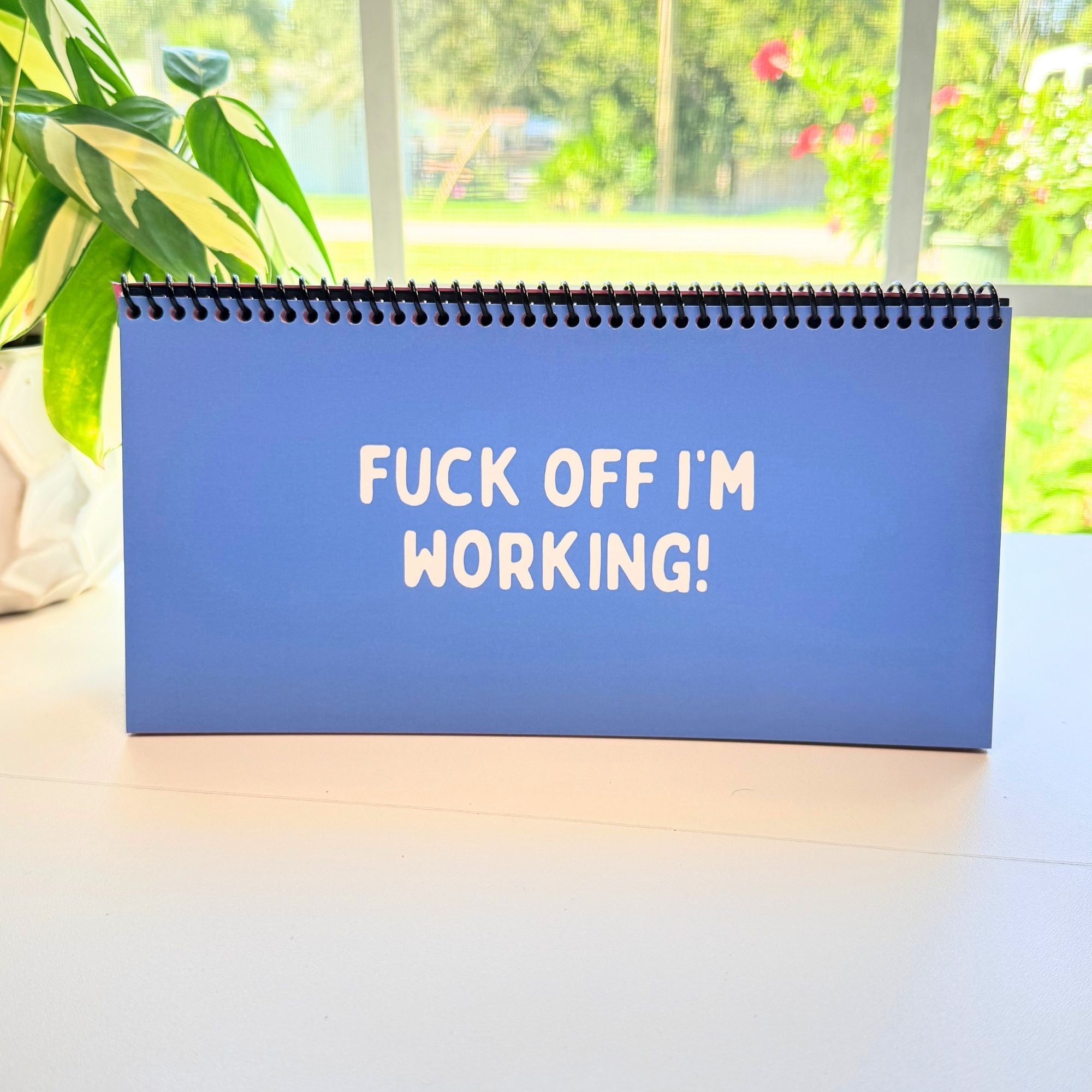 The Daily Mood Desk Sign for People That Like To Say F*ck Colorful