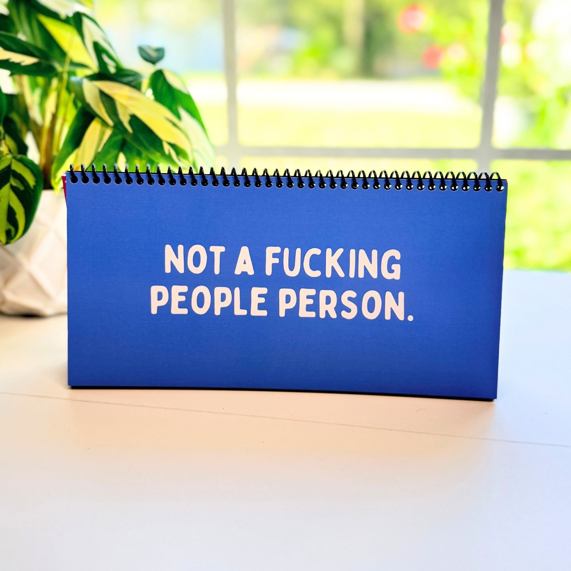 The Daily Mood Desk Sign for People That Like To Say F*ck Colorful