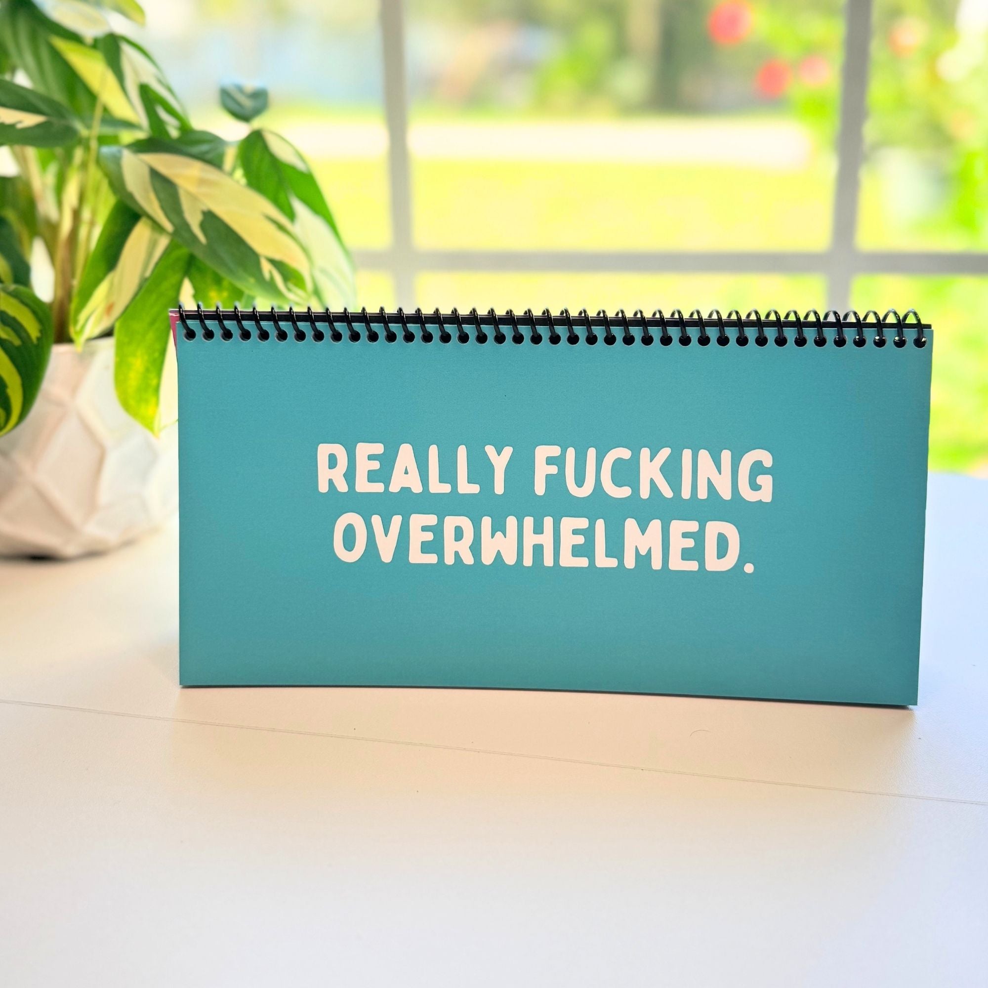 The Daily Mood Desk Sign for People That Like To Say F*ck Colorful
