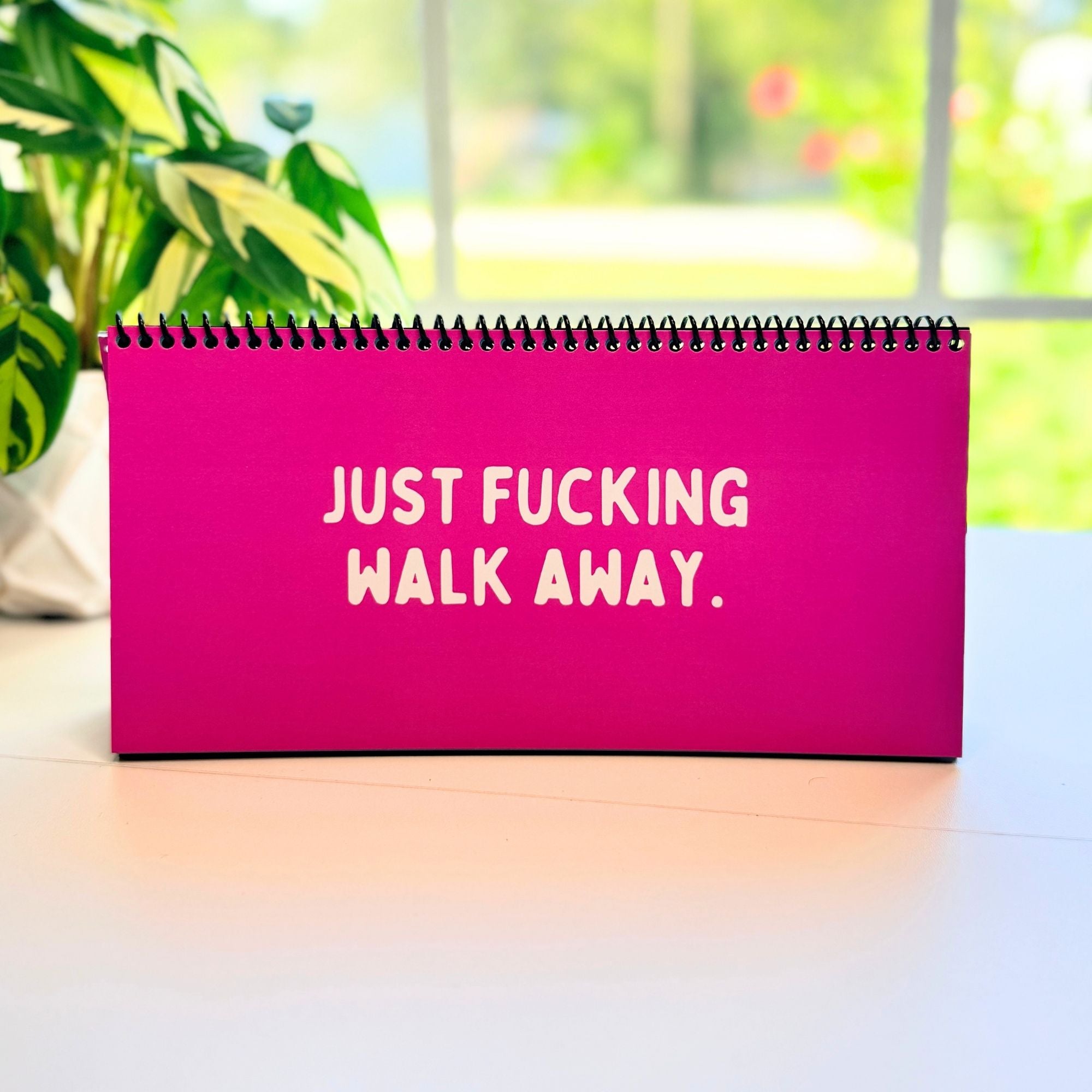 The Daily Mood Desk Sign for People That Like To Say F*ck Colorful
