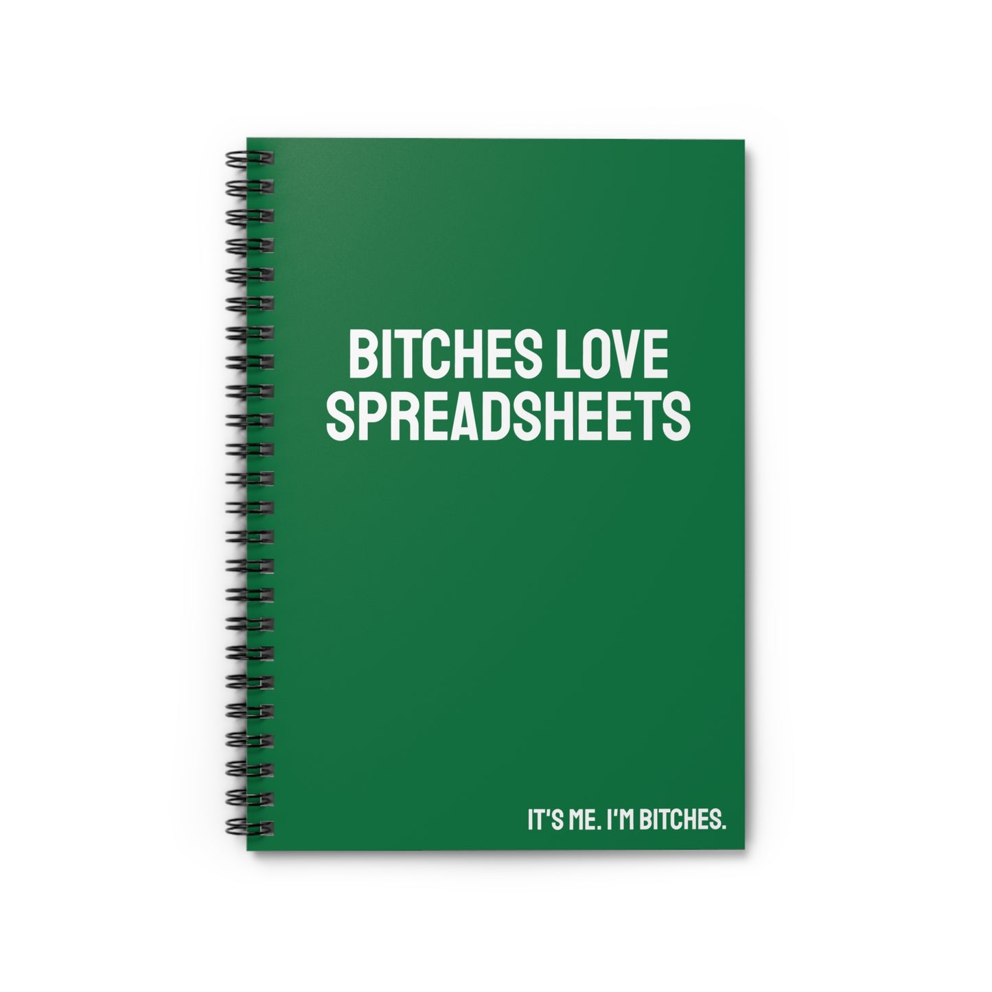 Bitches Love Spreadsheets Notebook