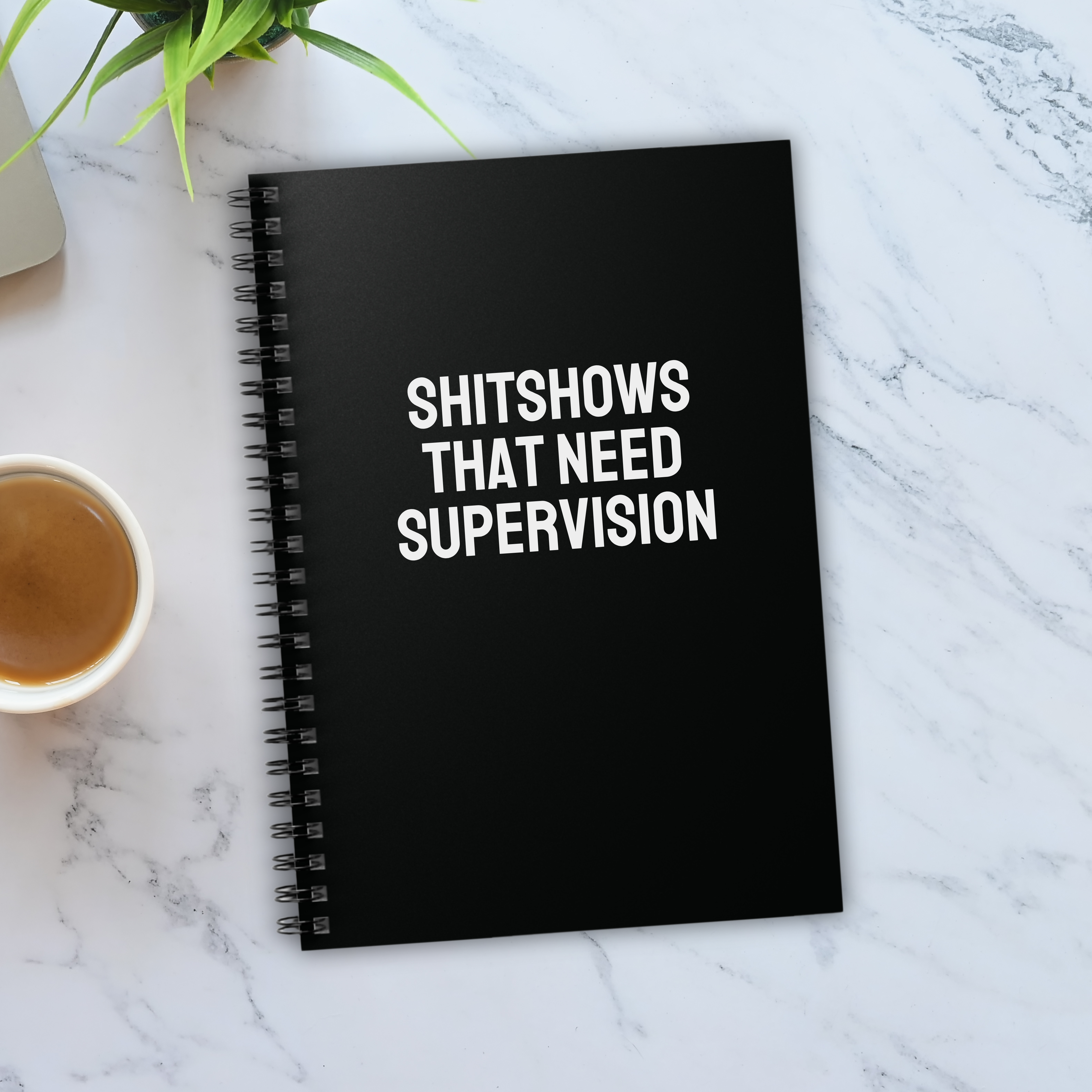 Shitshows That Need Supervision Notebook