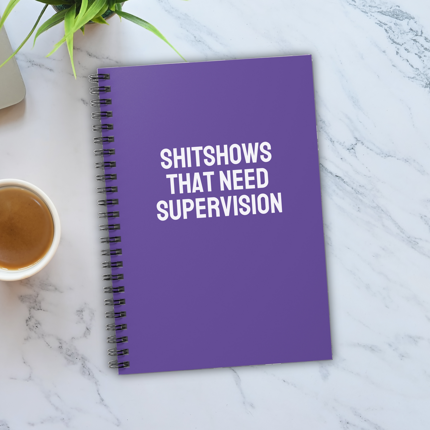 Shitshows That Need Supervision Notebook