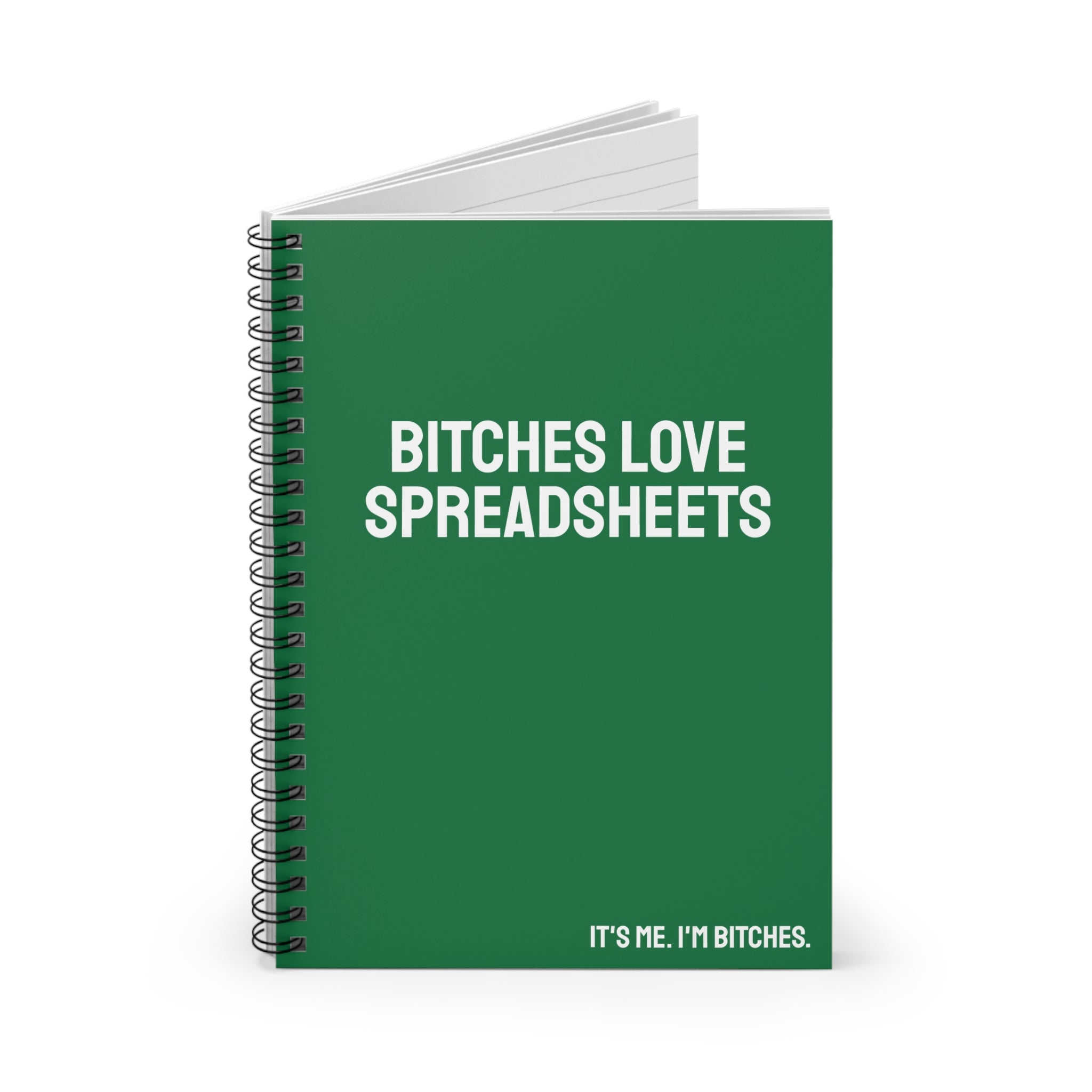 Bitches Love Spreadsheets Notebook