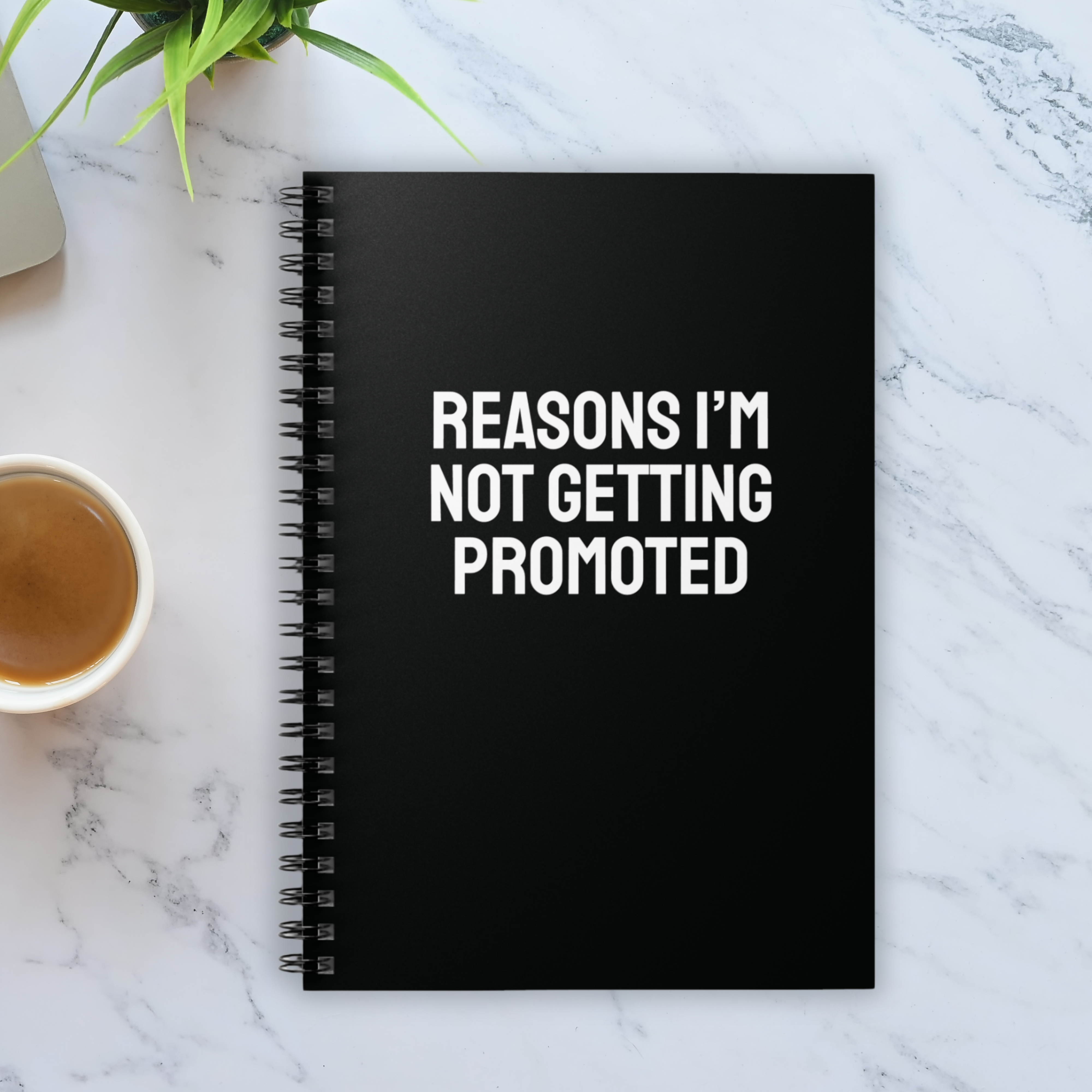 Reasons I’m not getting promoted Notebook