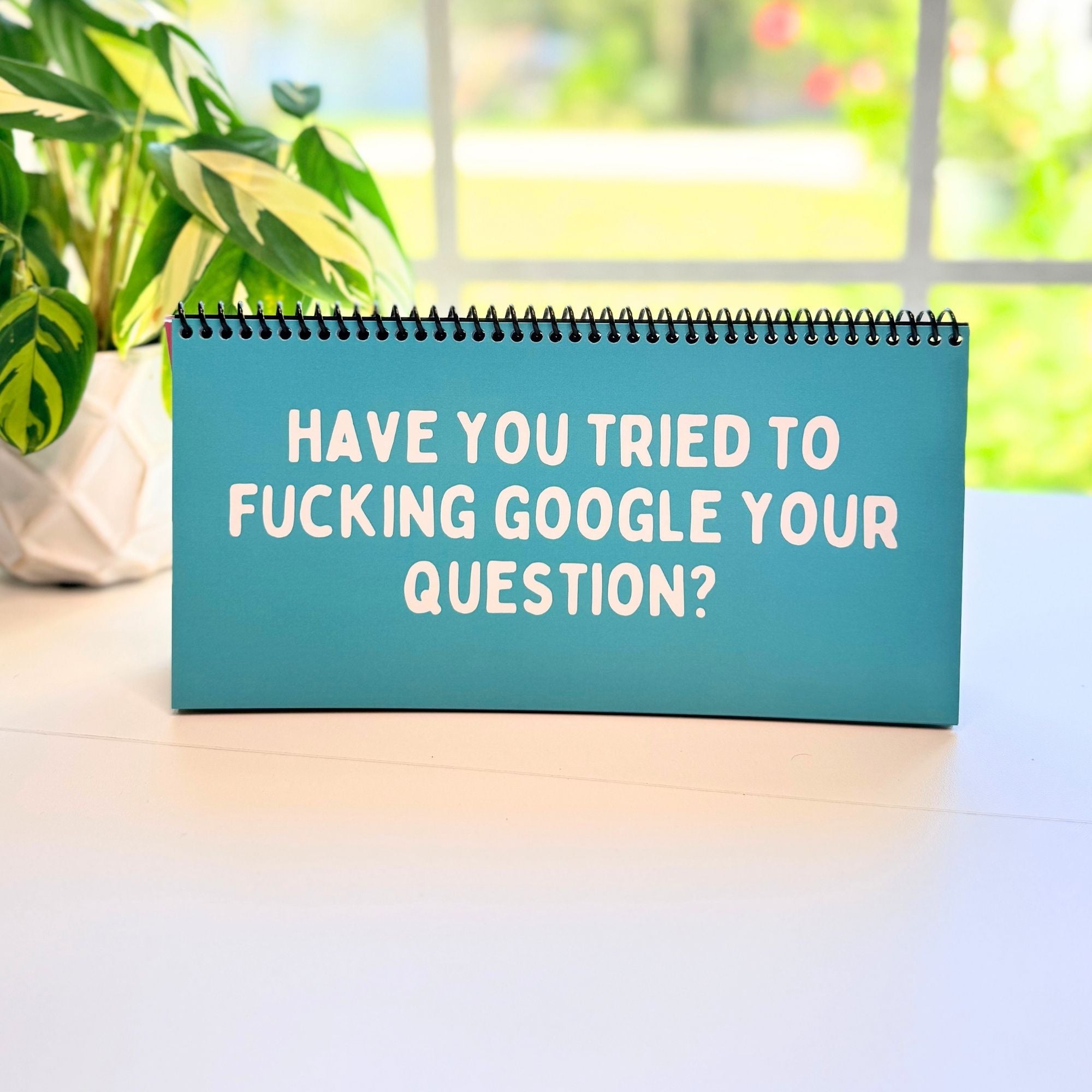 The Daily Mood Desk Sign for People That Like To Say F*ck Colorful