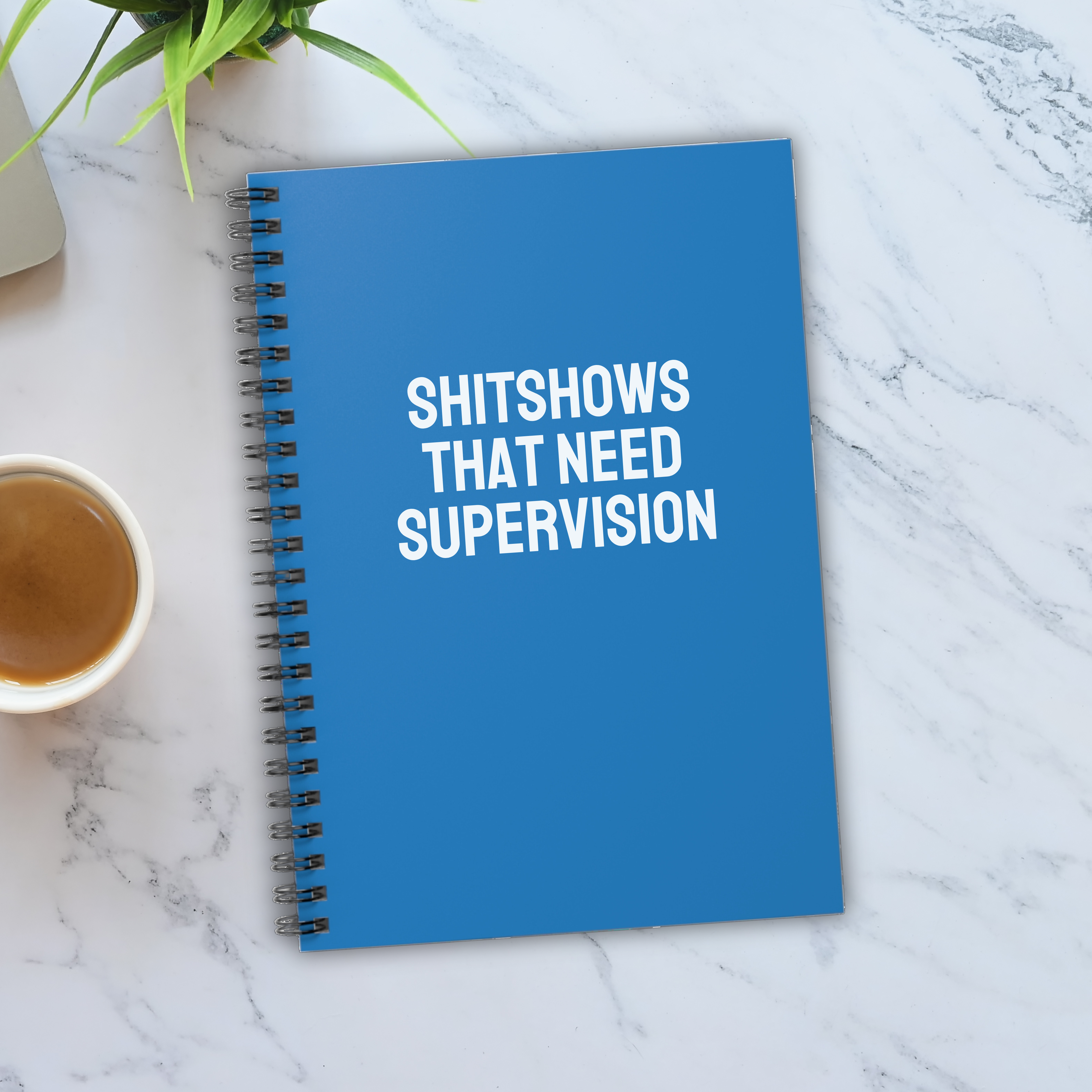 Shitshows That Need Supervision Notebook