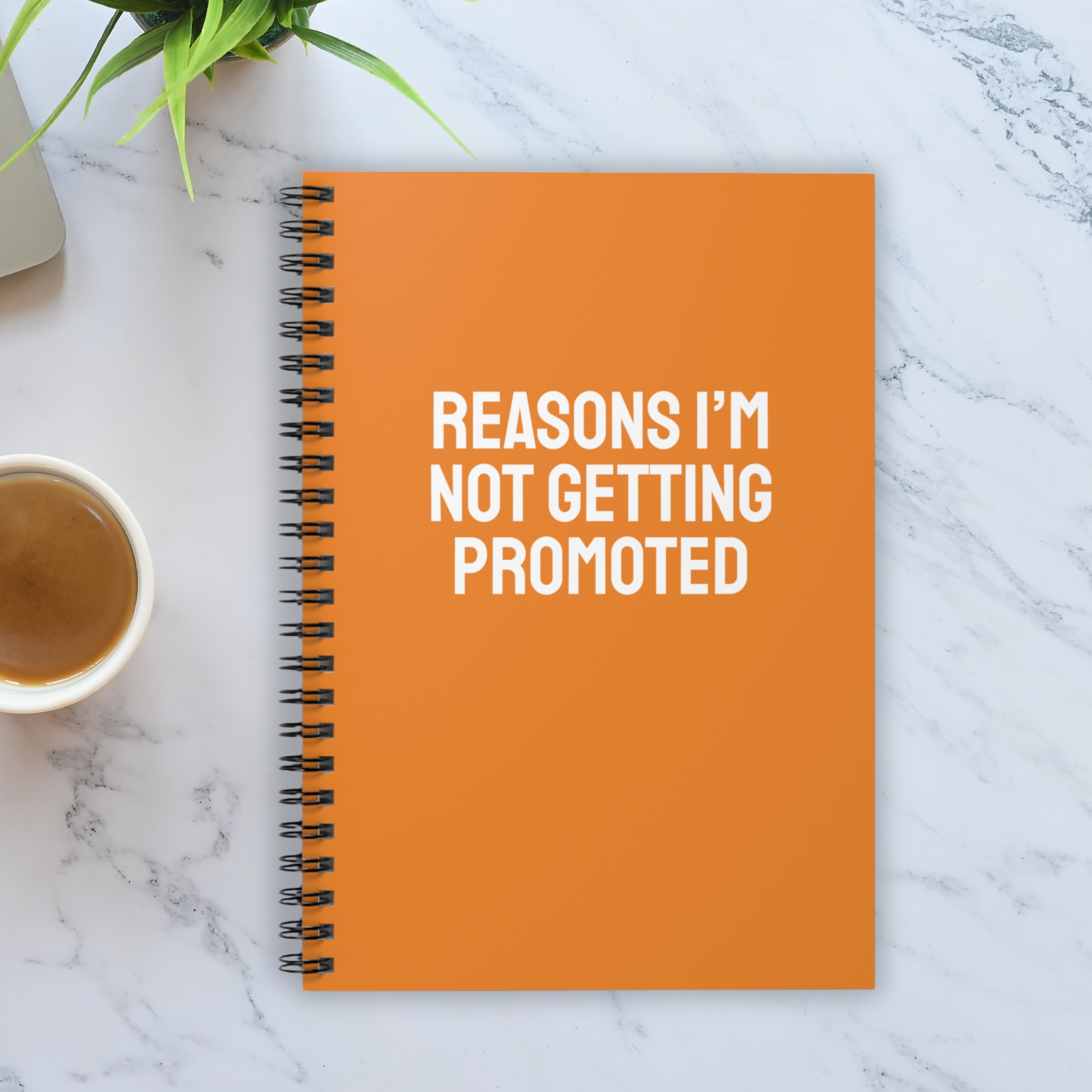 Reasons I’m not getting promoted Notebook