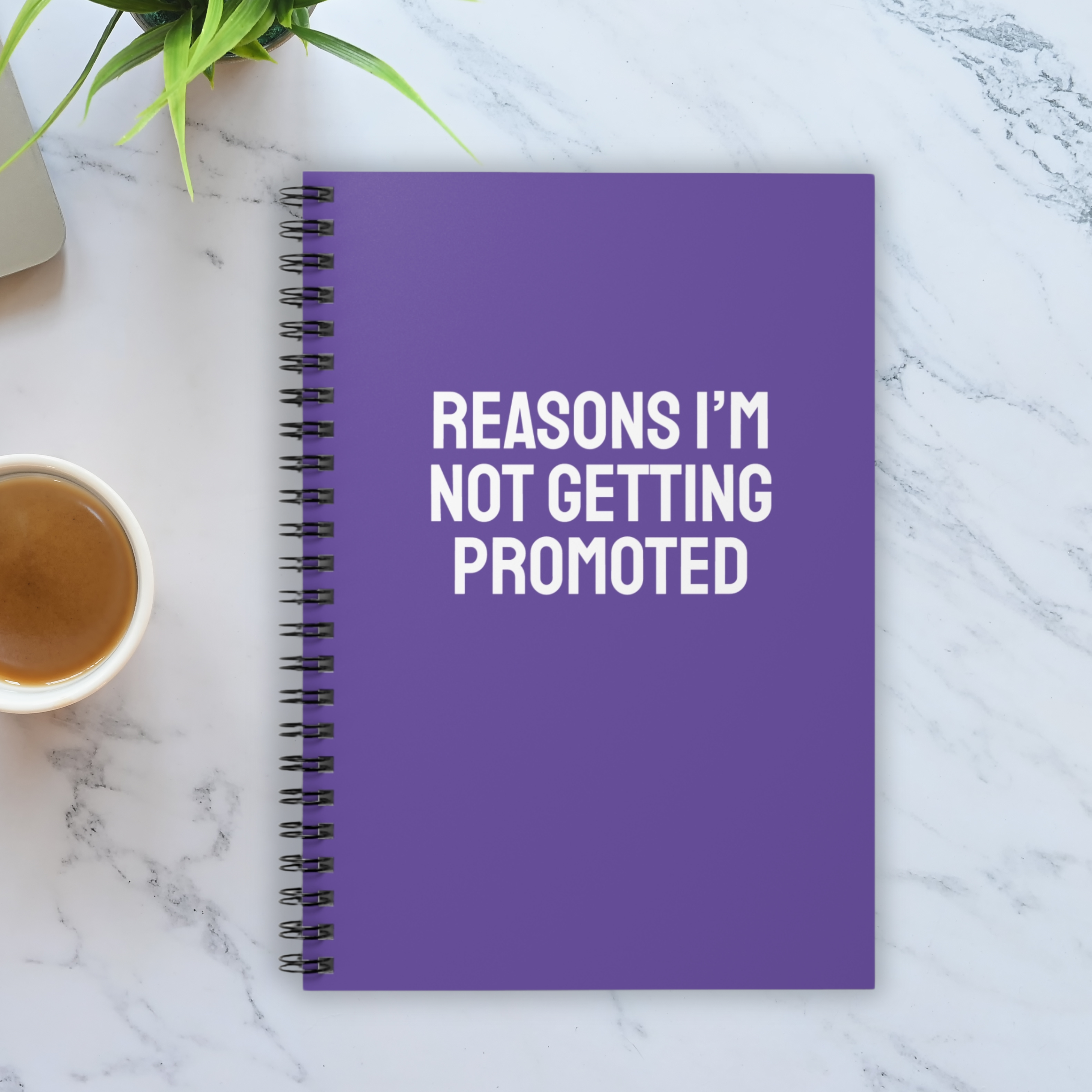 Reasons I’m not getting promoted Notebook