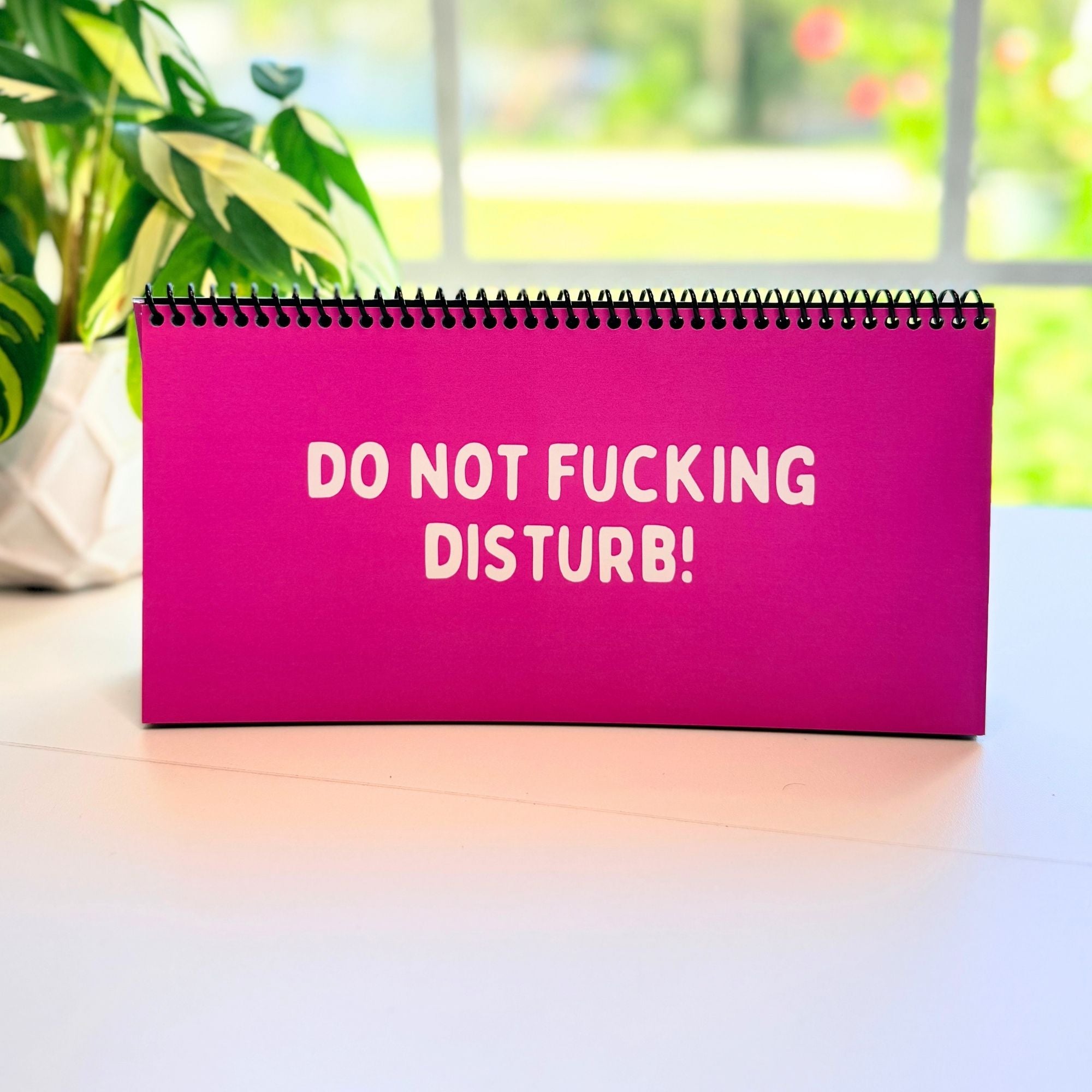 The Daily Mood Desk Sign for People That Like To Say F*ck Colorful