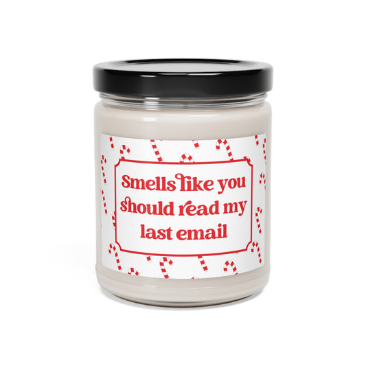Smells Like You Should Read My Last Email Candle