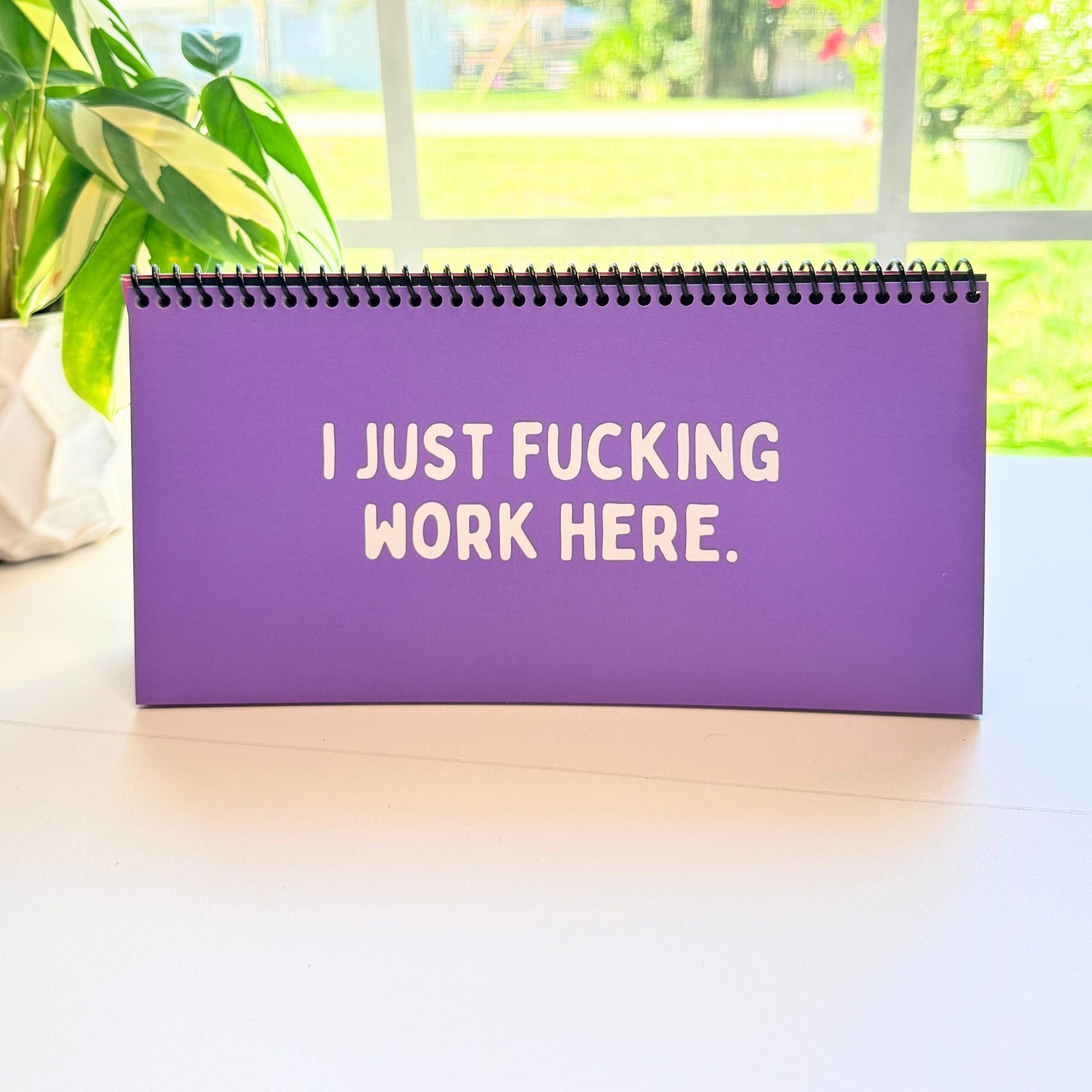 The Daily Mood Desk Sign for People That Like To Say F*ck Colorful