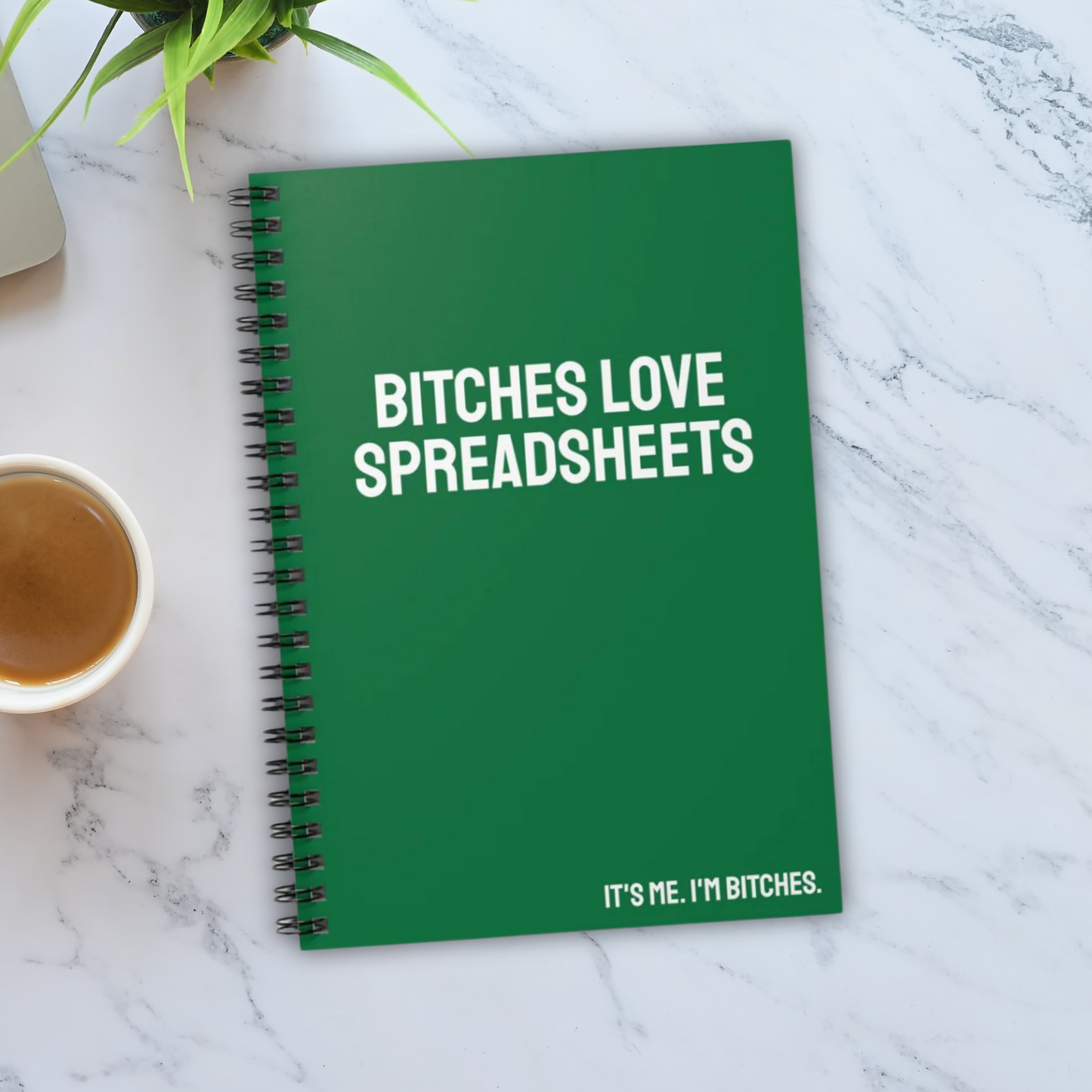 Bitches Love Spreadsheets Notebook