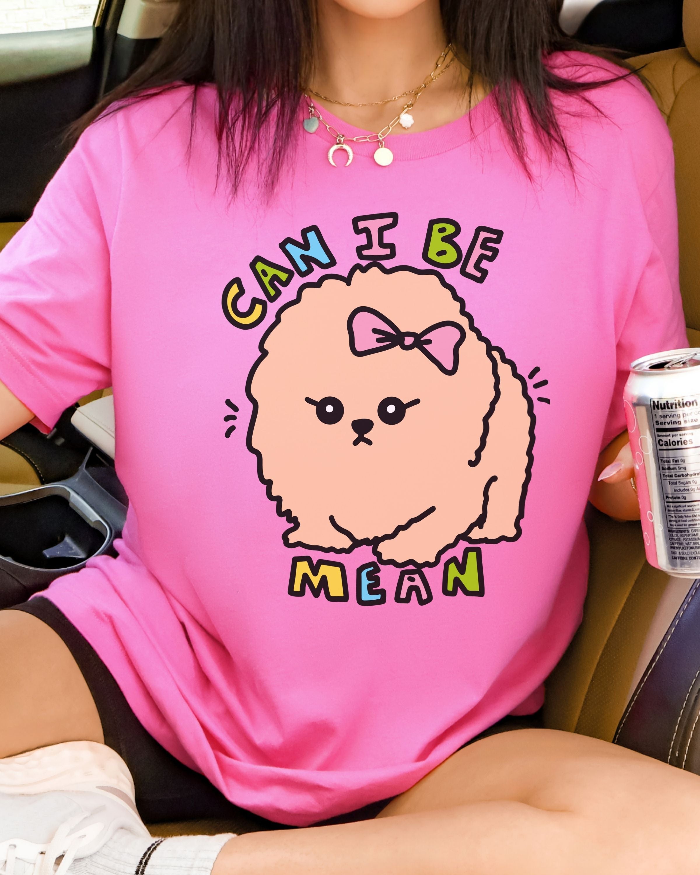 Can I Be Mean Tshirt