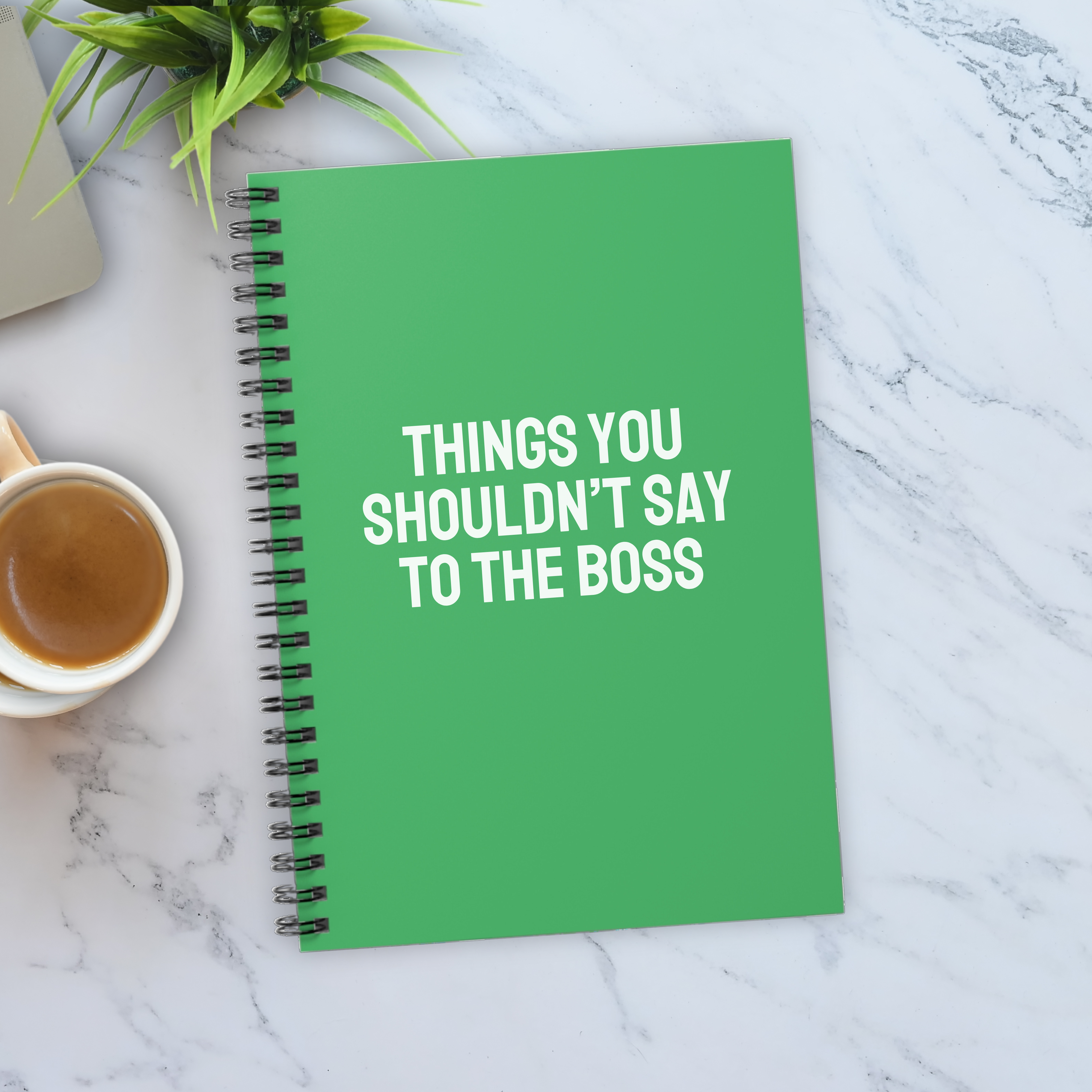 Things You Shouldn’t Say To The Boss Notebook