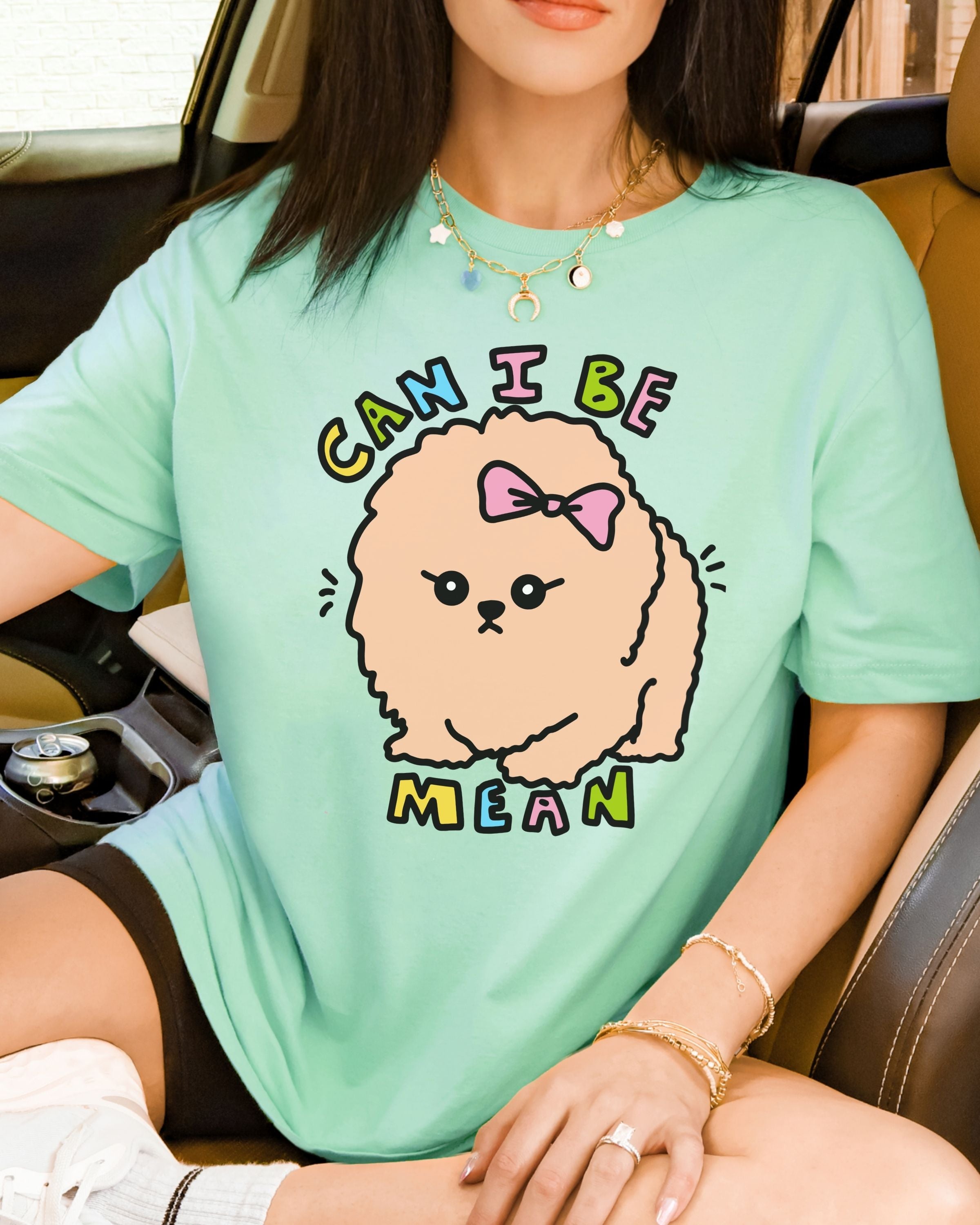 Can I Be Mean Tshirt