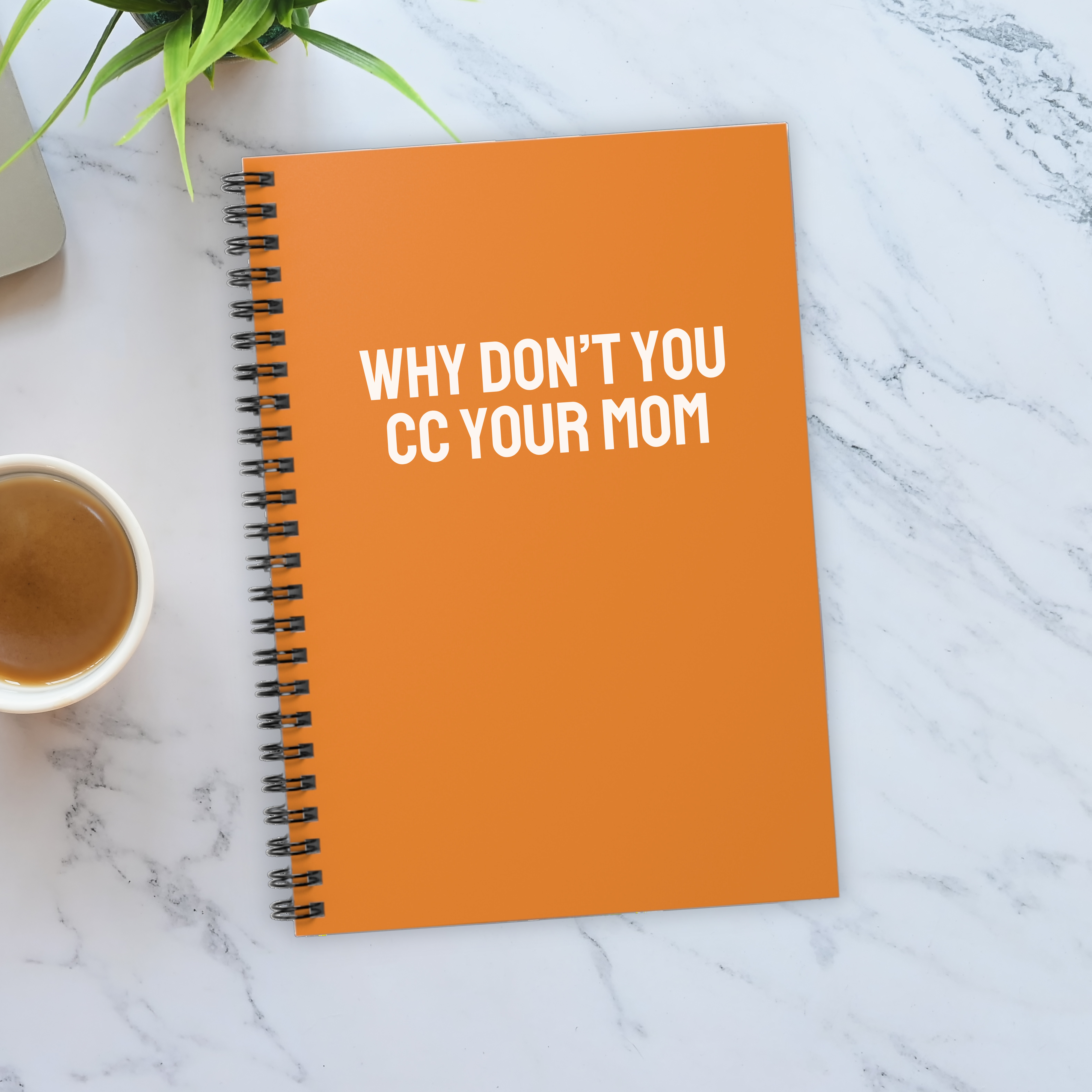 Why don’t you cc your mom Notebook