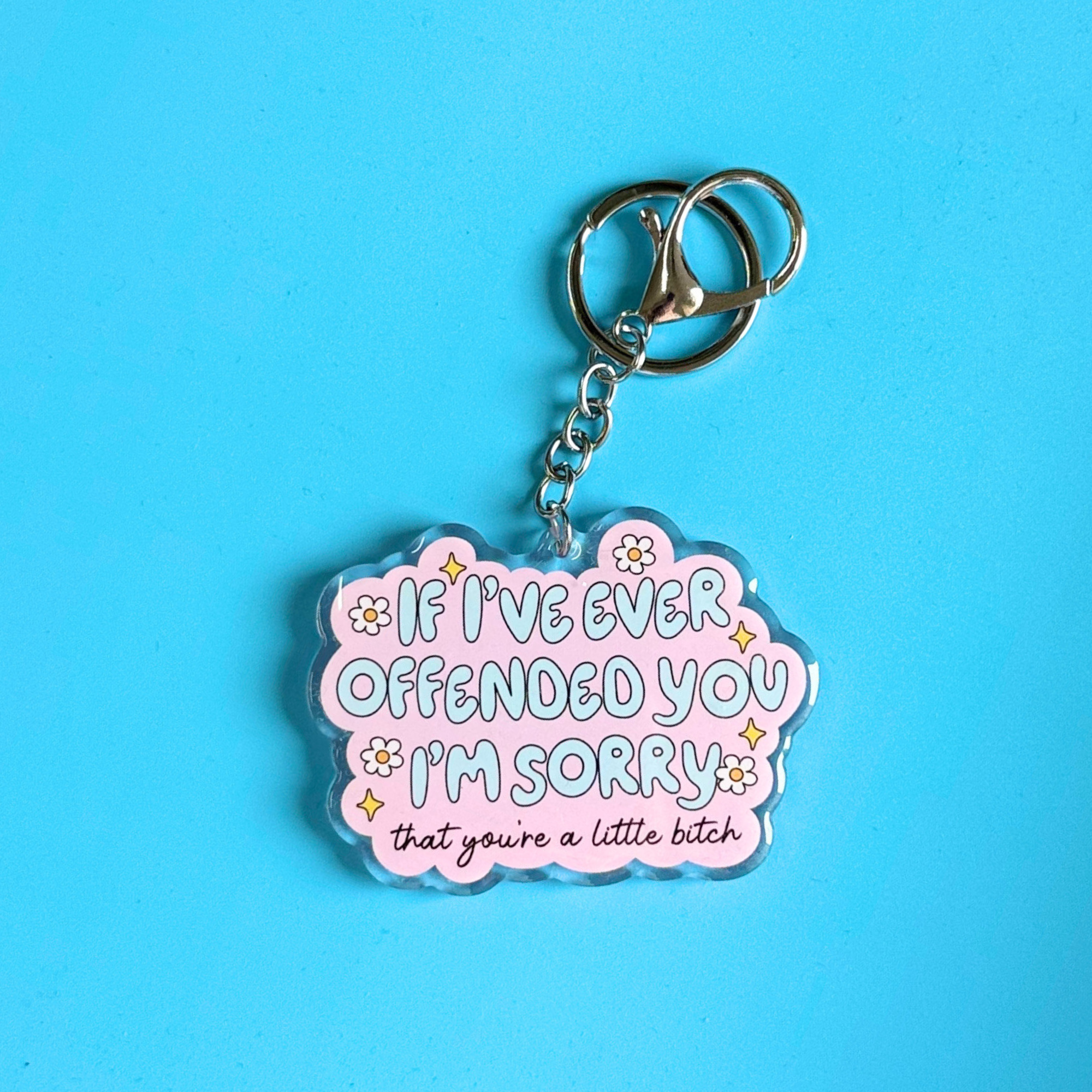 If I've Ever Offended You I'm Sorry Keychain