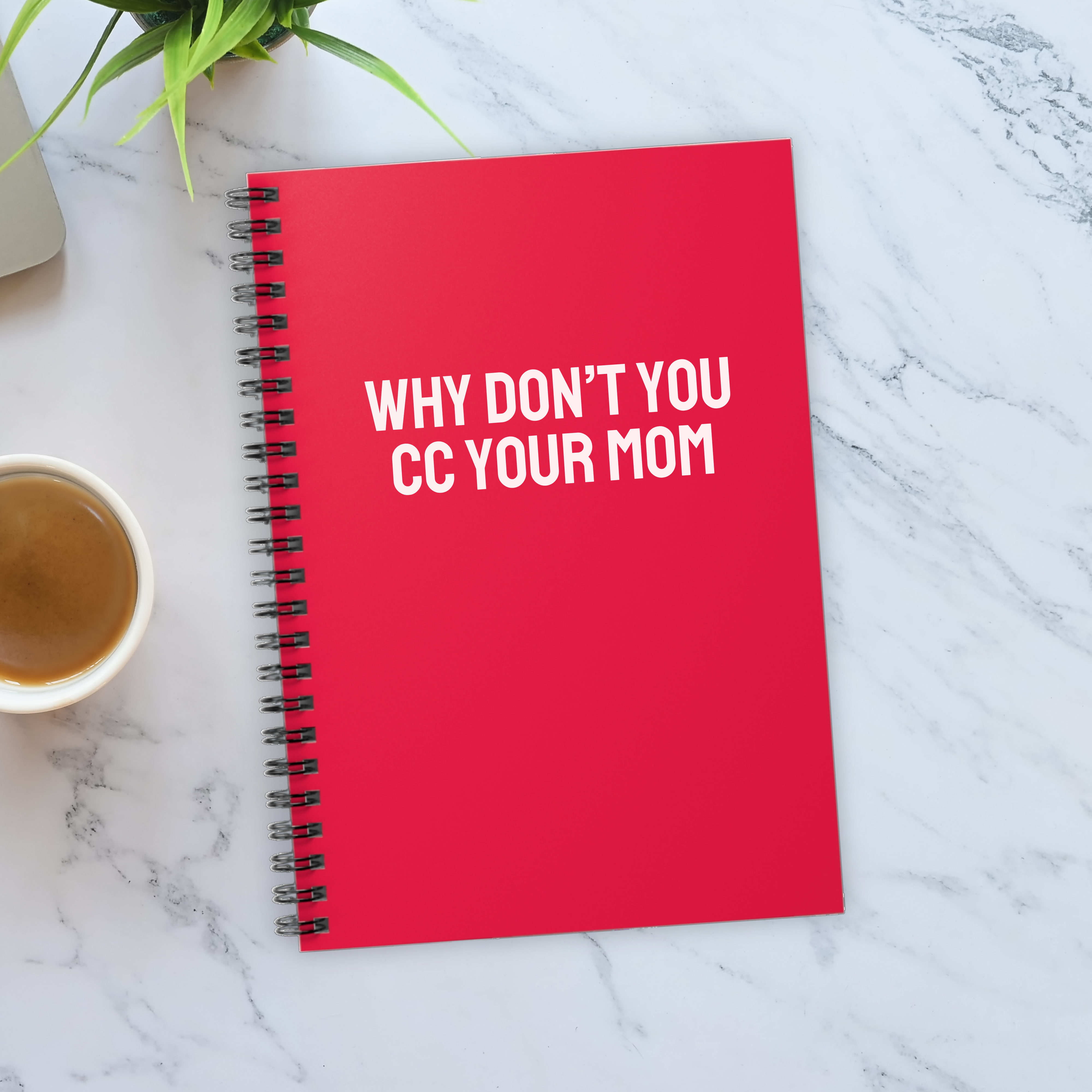 Why don’t you cc your mom Notebook